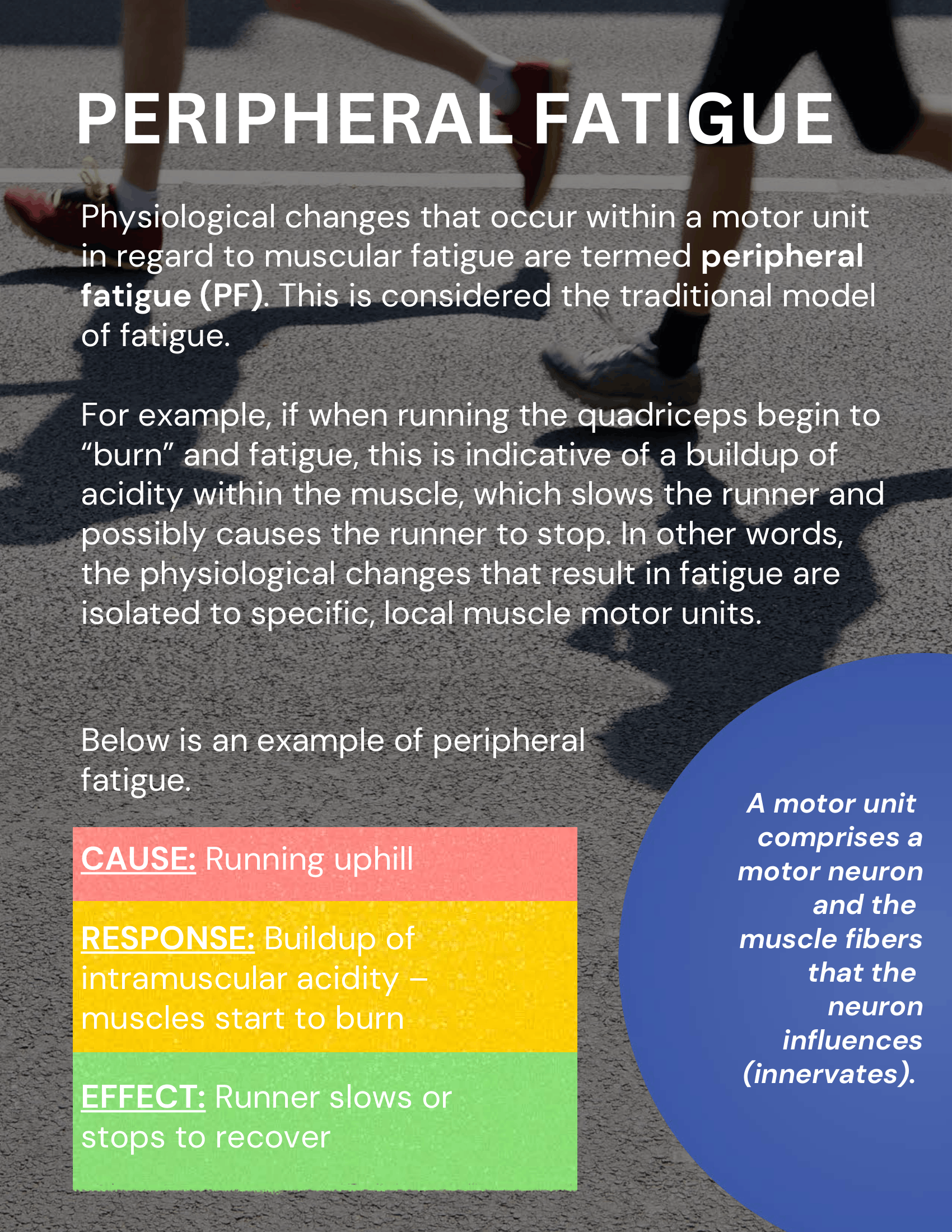 Ebook-Pacing-for-Endurance-Athletes-10.png
