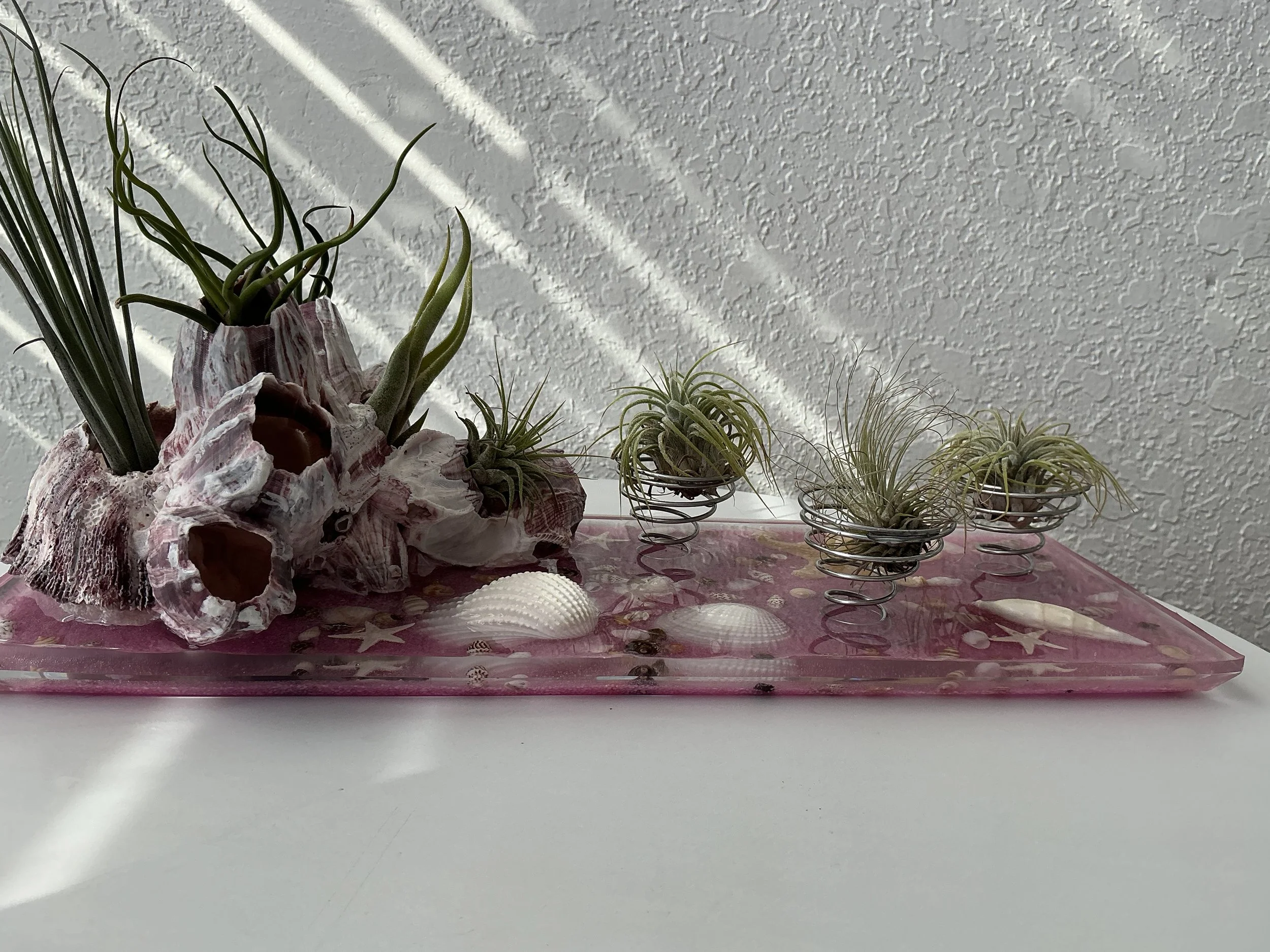 The Pink Tidepool