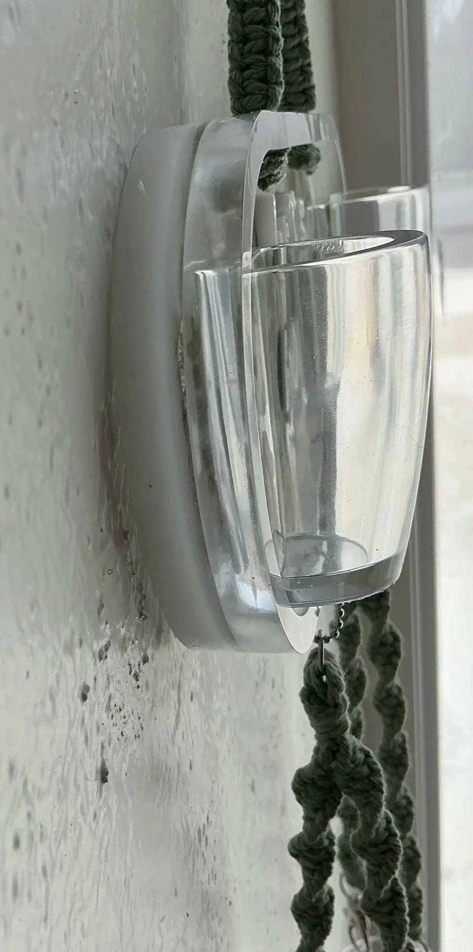 Side profile of an upper clear plant holder mounted to the botanical resin panel, showing the holder’s depth and how far it projects from the wall.