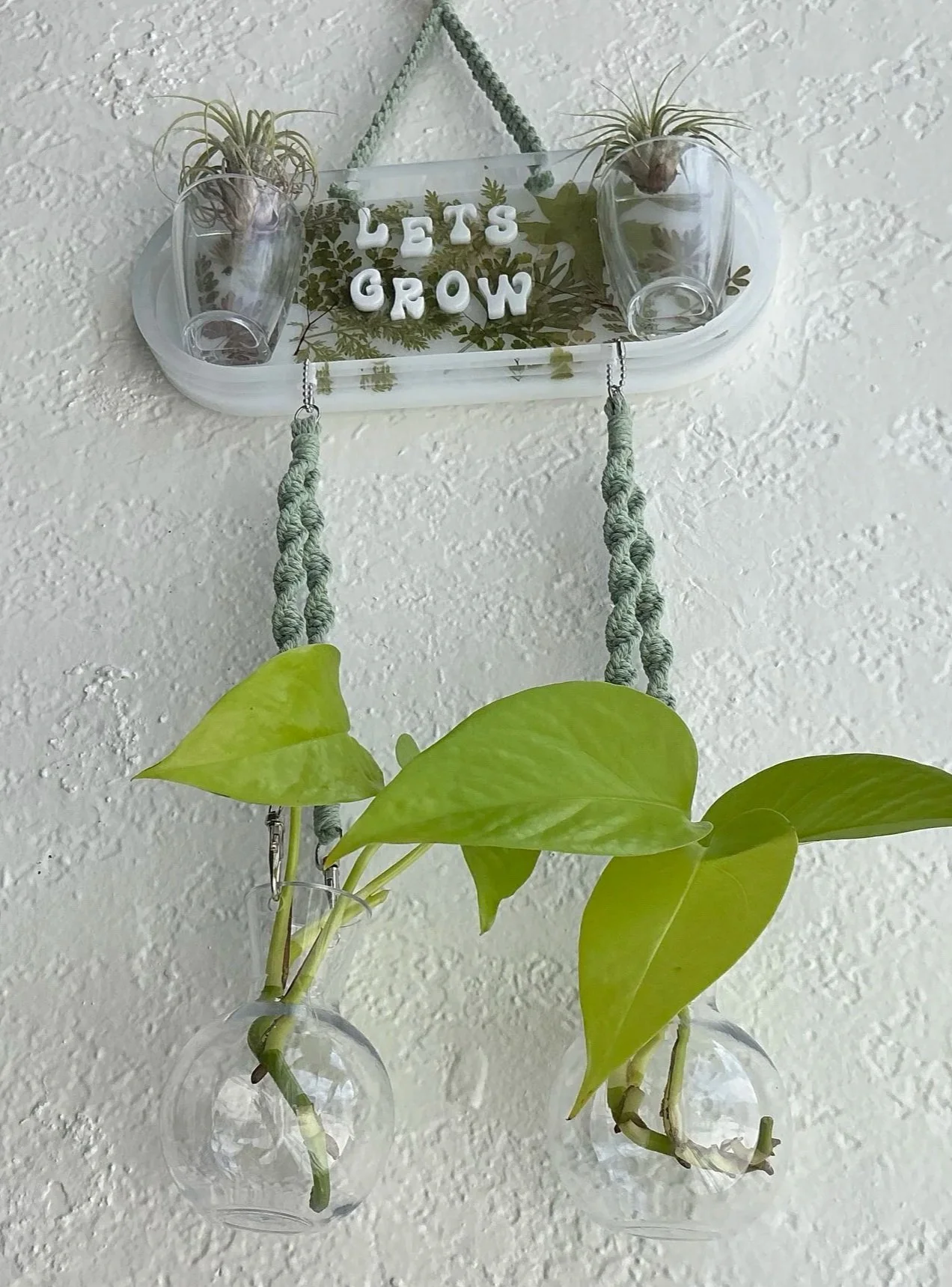 Hanging propagation station displayed with two small air plants above and pothos cuttings rooting in the two lower clear vases, showing the complete handmade piece in use.
