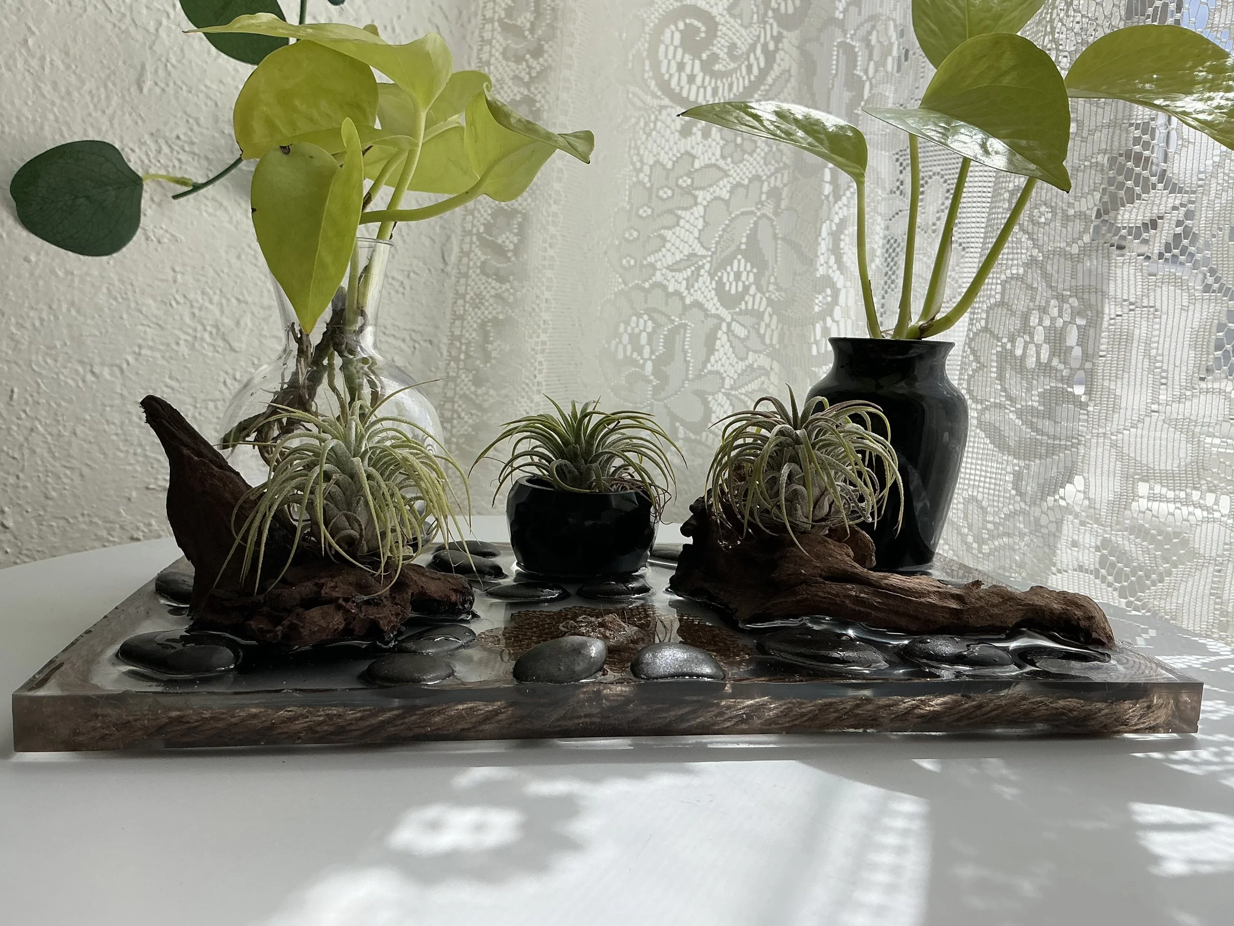 Living grove #3 side angle with plants.jpeg