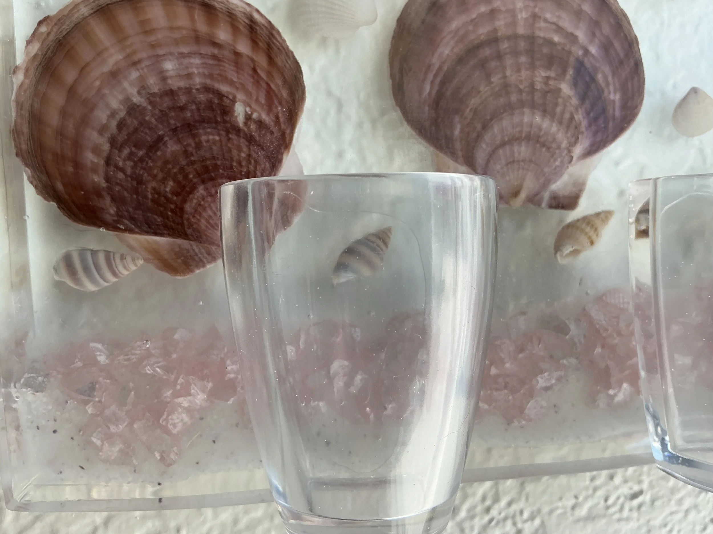 Close-up of one clear plant vessel against the resin panel, showing the natural scallop shells, tiny embedded seashells, white sand and textured pink crushed stone details.