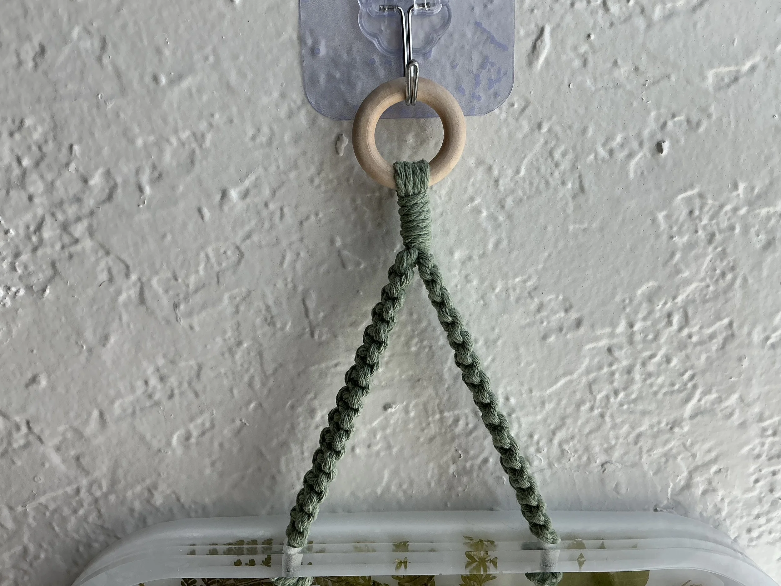 Close-up of the pale wooden hanging ring and sage green macramé loop used to suspend the botanical propagation station from a wall hook.