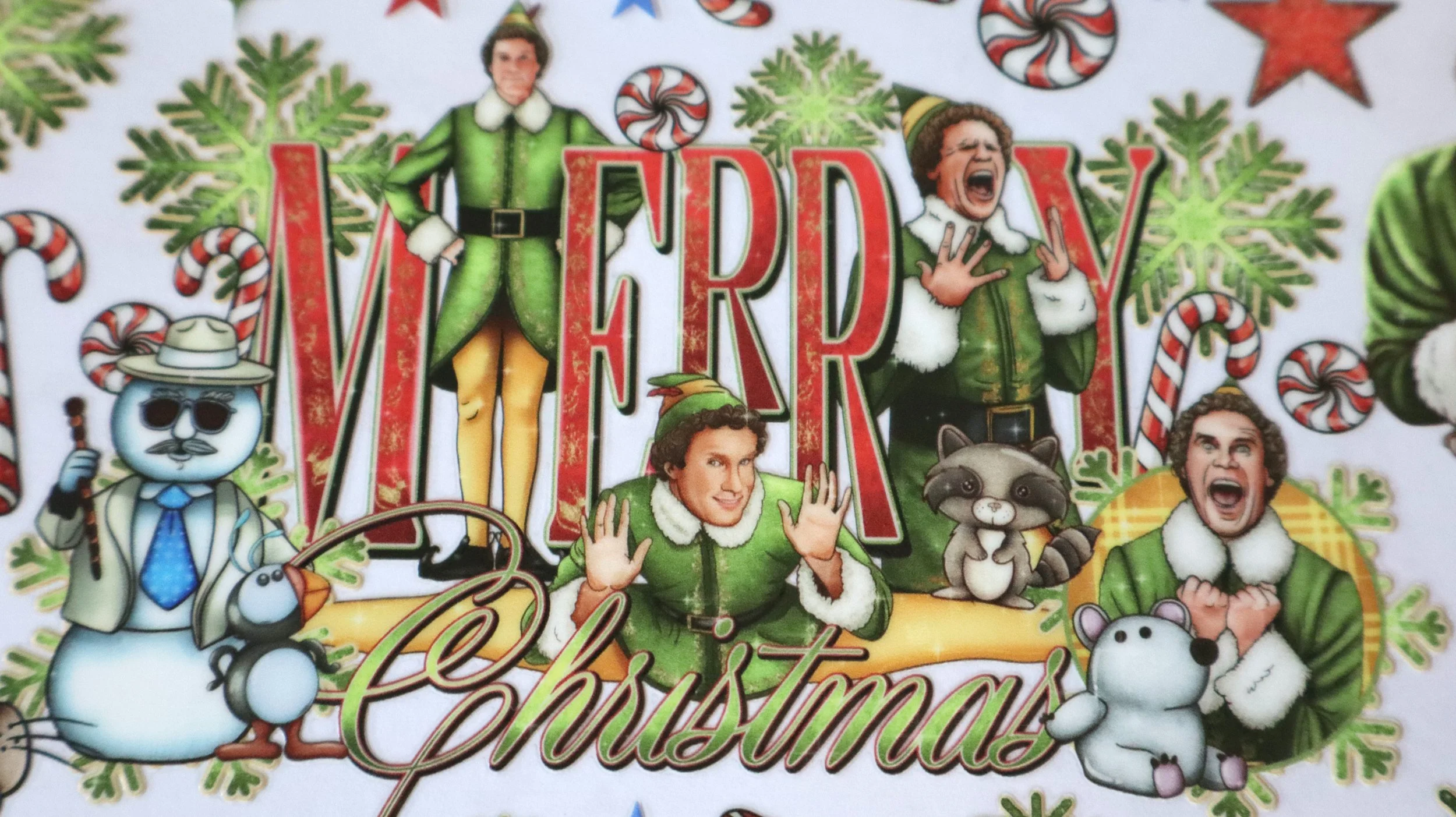 Elf-Christmas Close up.JPG