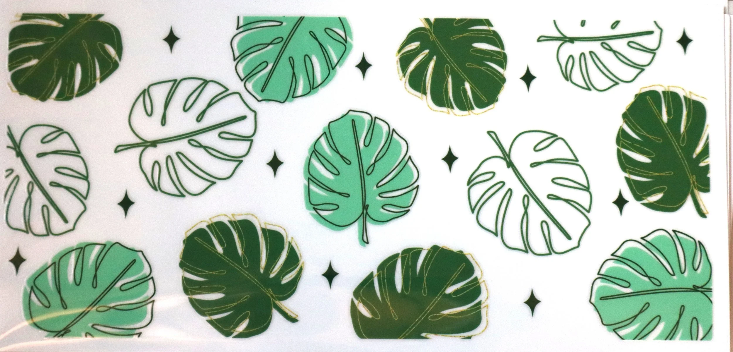 Monstera