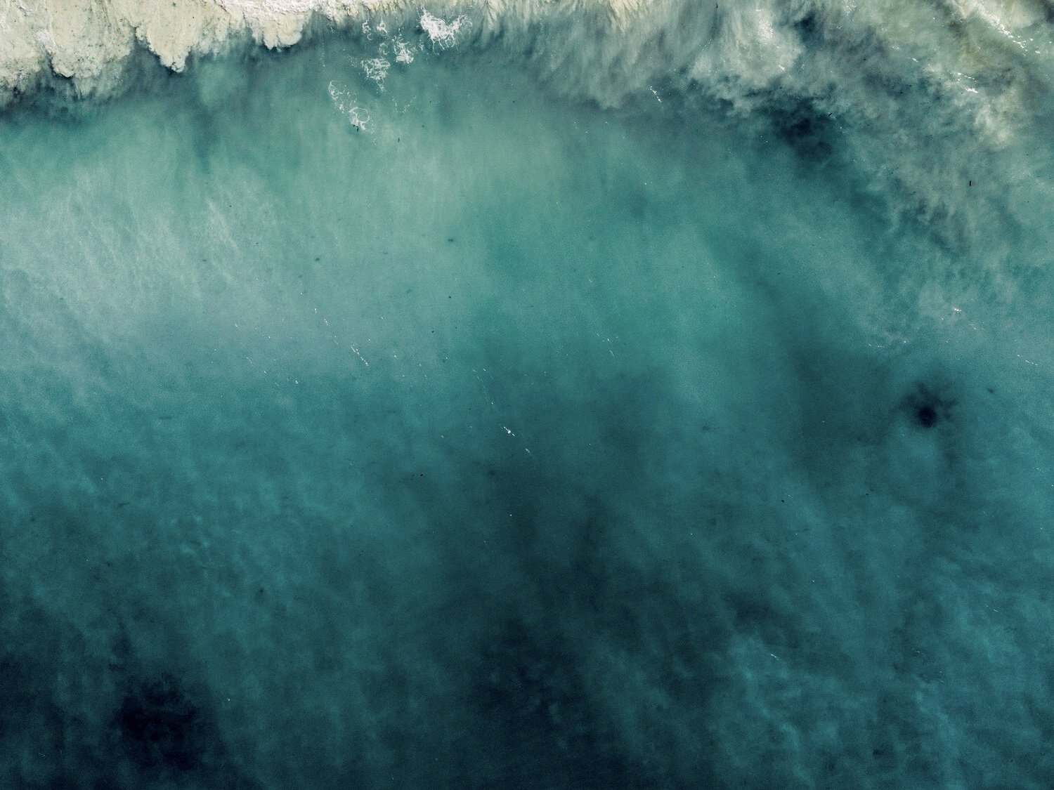 Blue Mind: Finding Peace by the Water