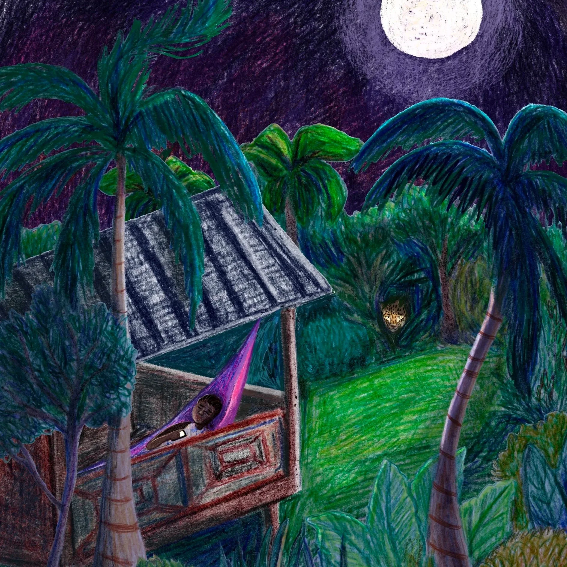 Illustration of a night scene with a full moon, tropical palm trees, and lush greenery. A person is sleeping in a hammock inside a wooden hut, while a leopard is hiding behind foliage, looking towards the person.