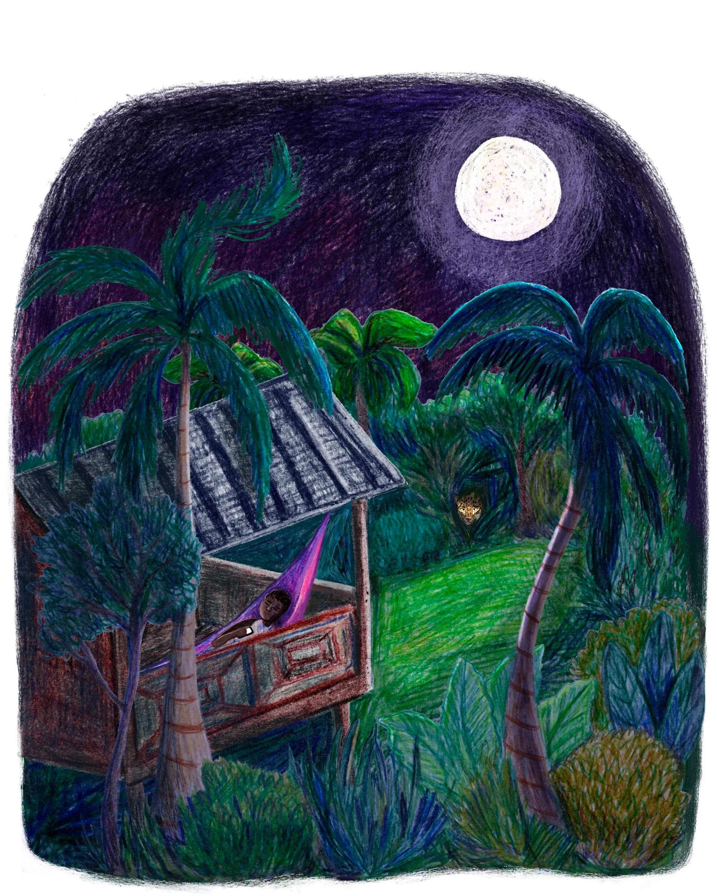 Illustratie- in de kleur van de zon- jungle- Suriname.jpg