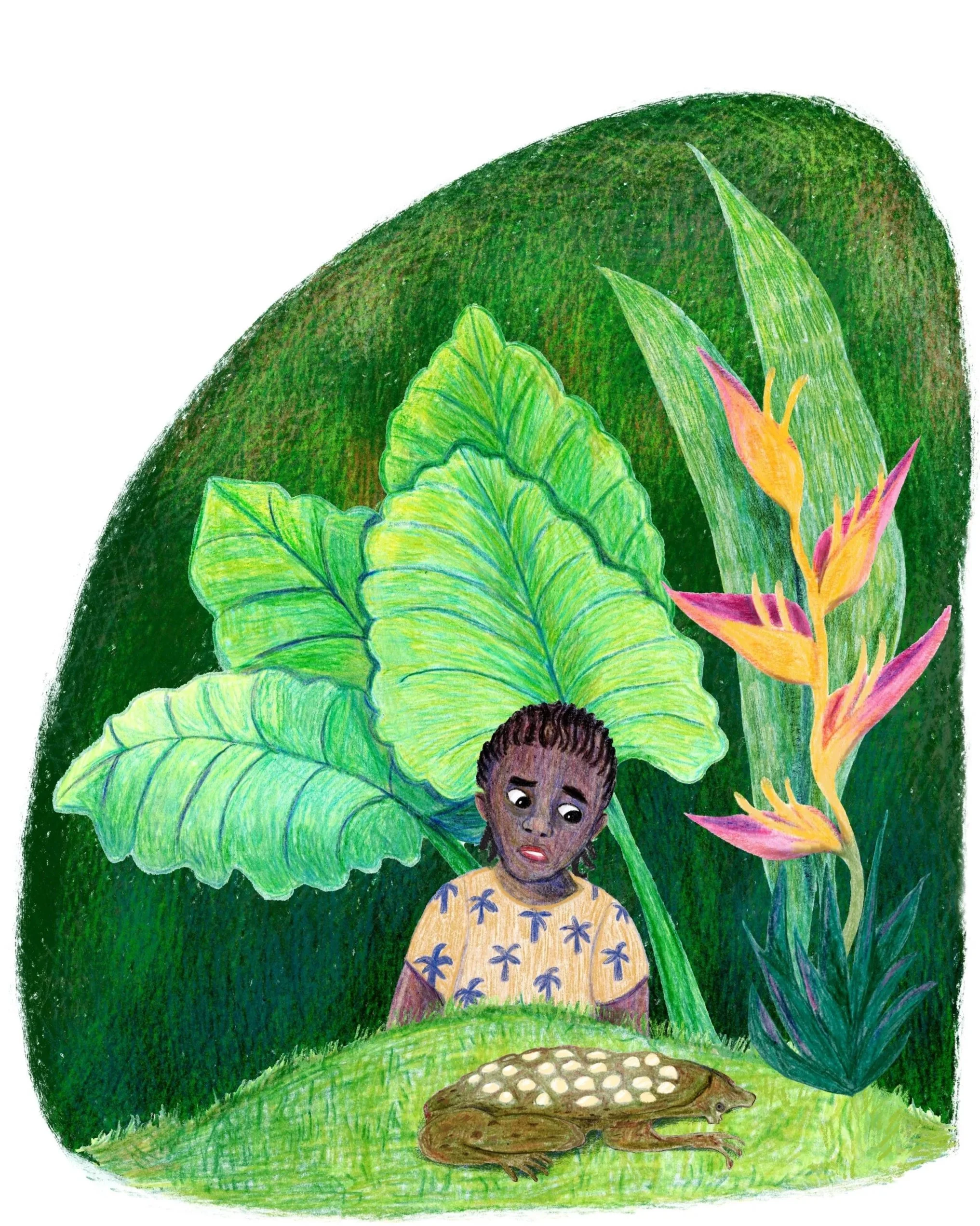 Illustratie- in de kleur van de zon-jongen-kikker-suriname.jpg