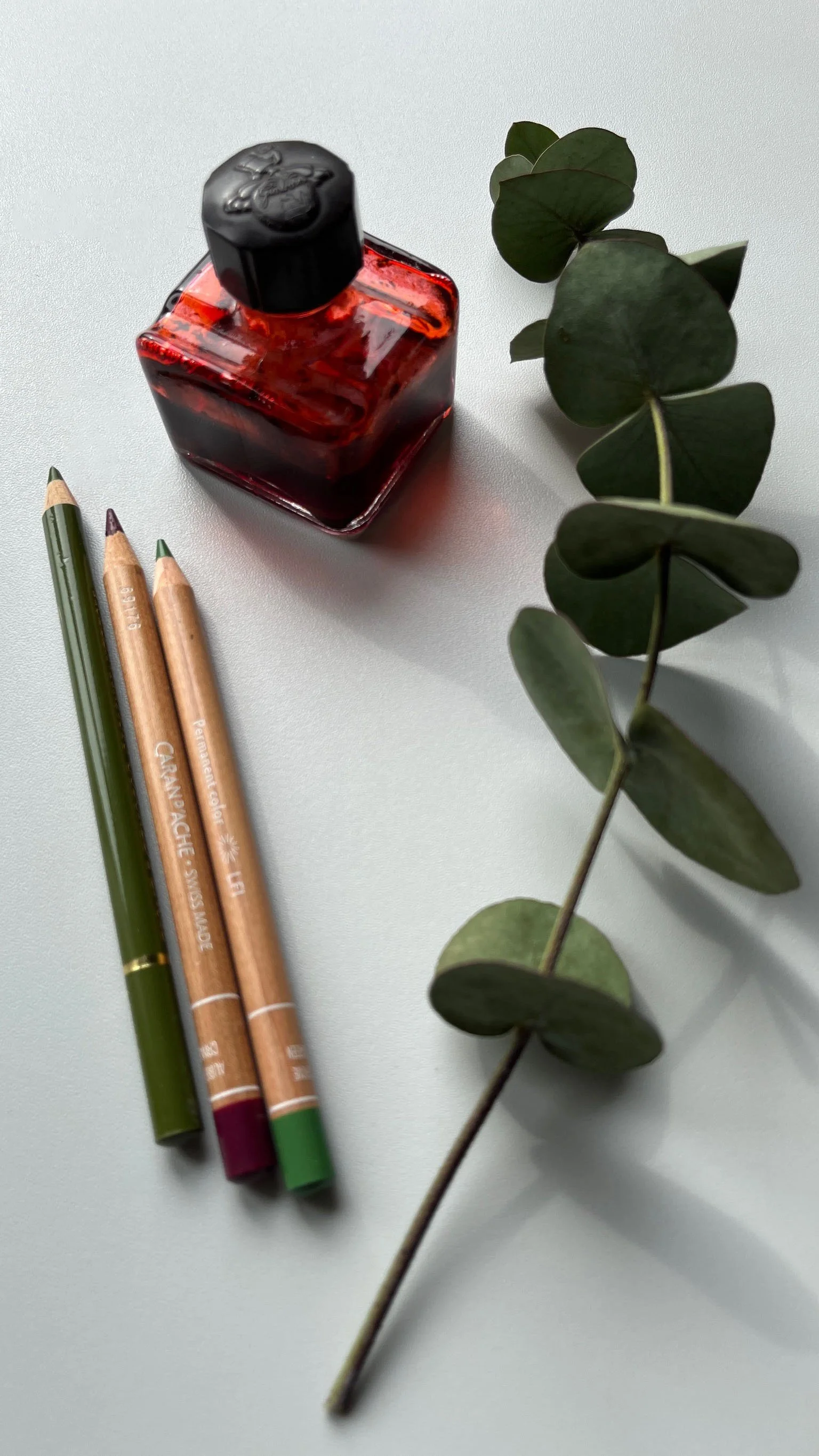A green pen, two beige pens, a small bottle of red ink, and a eucalyptus branch on a light gray surface.