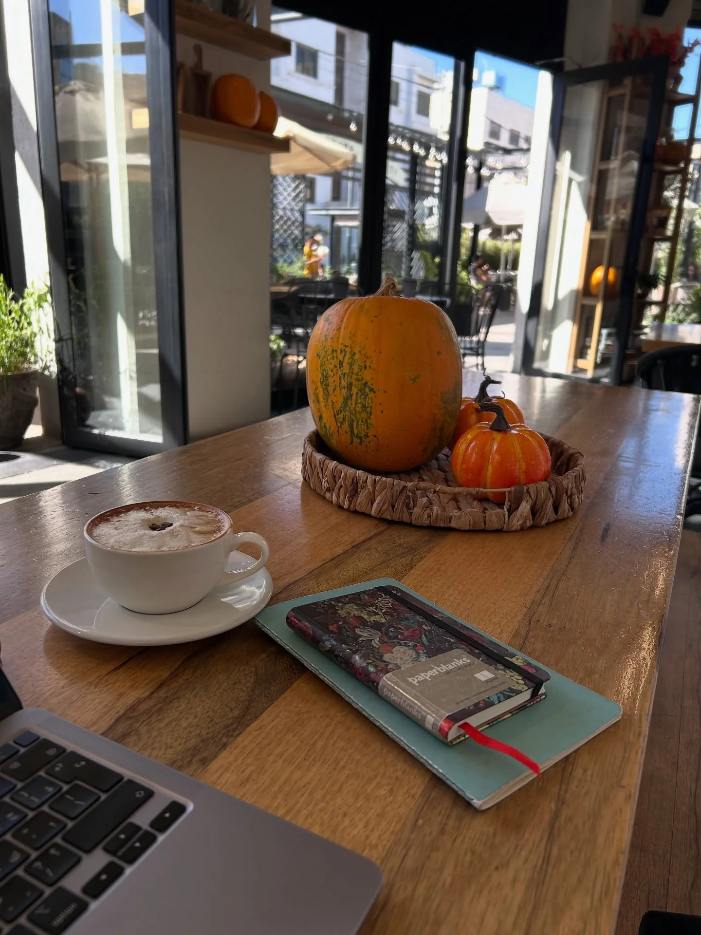 The -ber months are always my favorite 🍂🌧️🎄

Do you enjoy them? 

Let&rsquo;s write together! ✉️