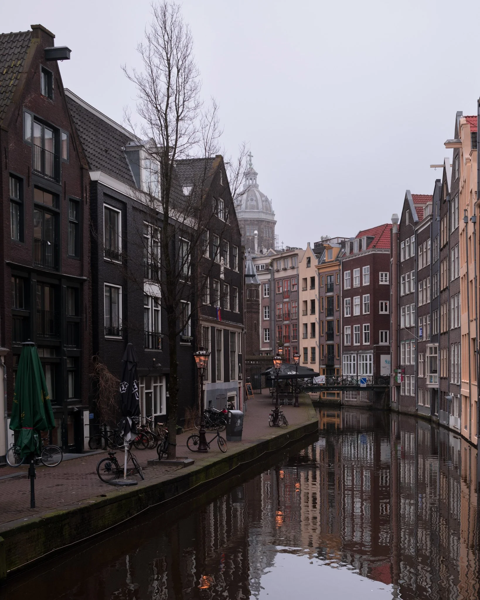 L1007715.jpg