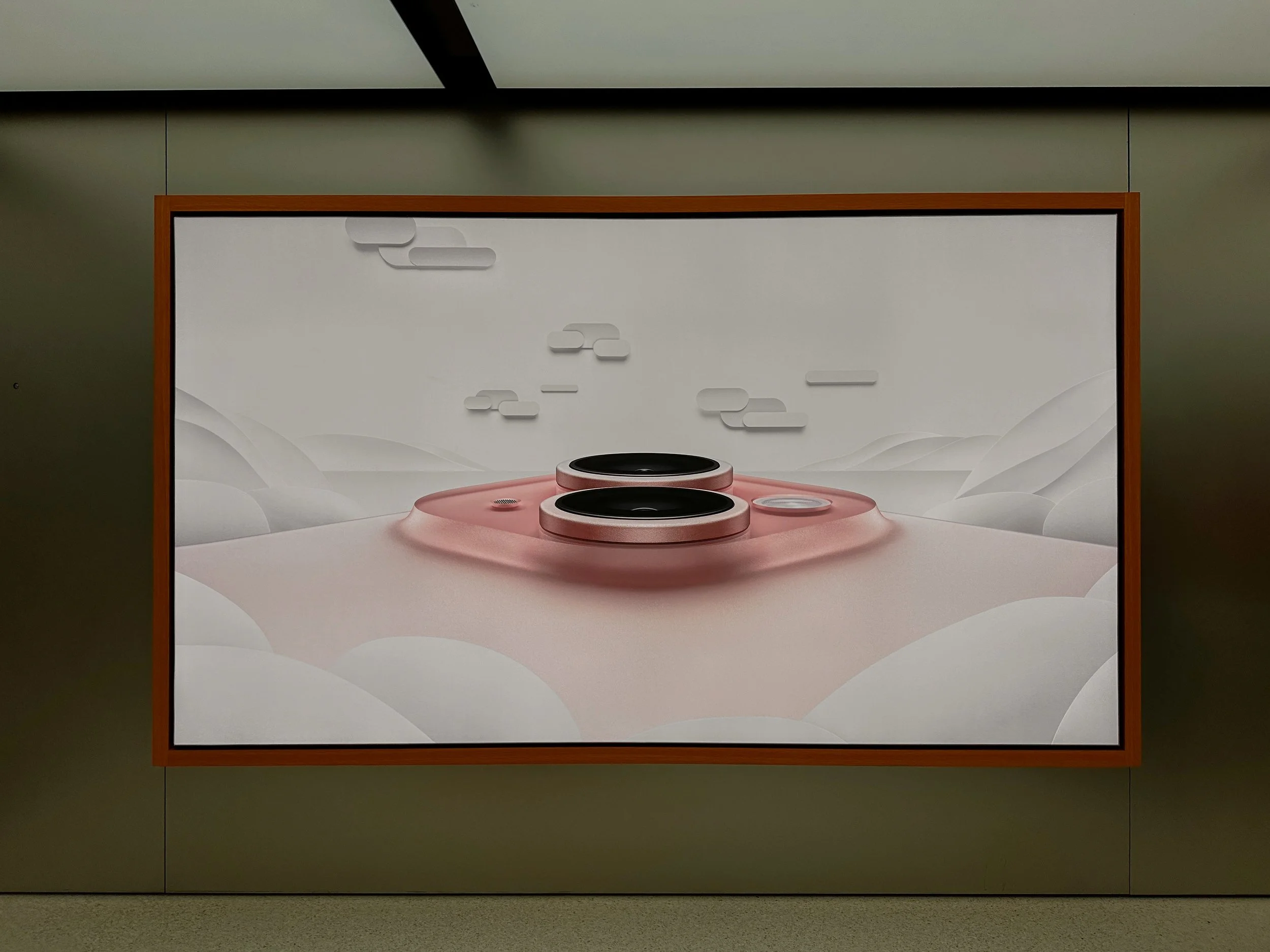 Retail Graphic_IMG_0800.jpg