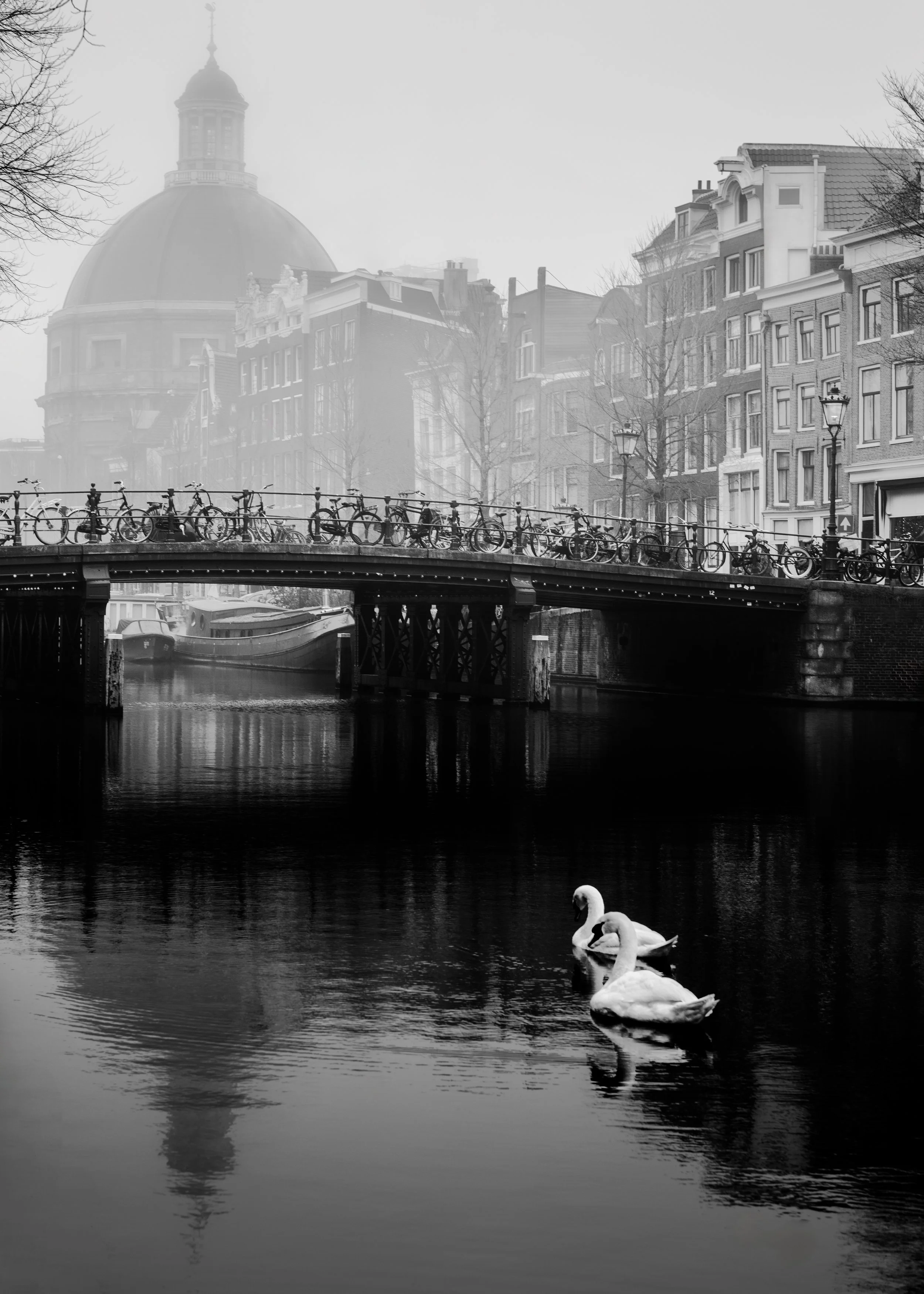 amsterdam_sans_5x7_v2.jpg