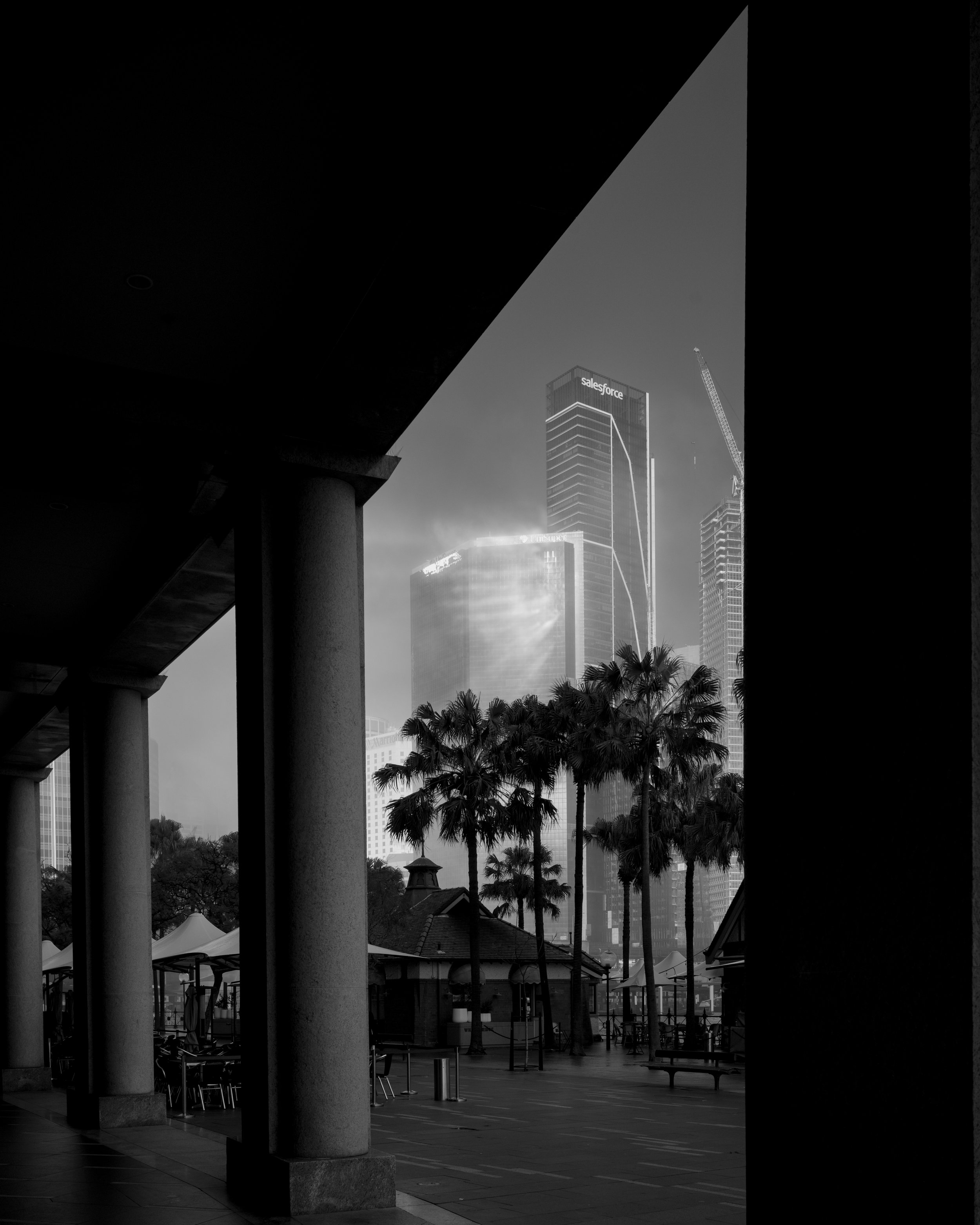 Circular Quay_Foggy Tuesday_L1007390-Edit.jpg