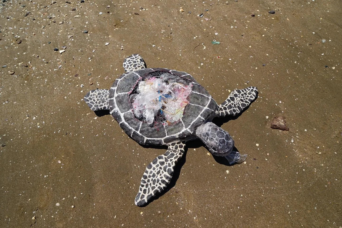 For every step we take on the beach we leave our footprints on the sand.. but what is often not visible is the environmental footprint we make💚 

#seameproject #shroncliffe #sculptureart #animalsculpture #plasticpollution #savetheturtles #seaturtle 