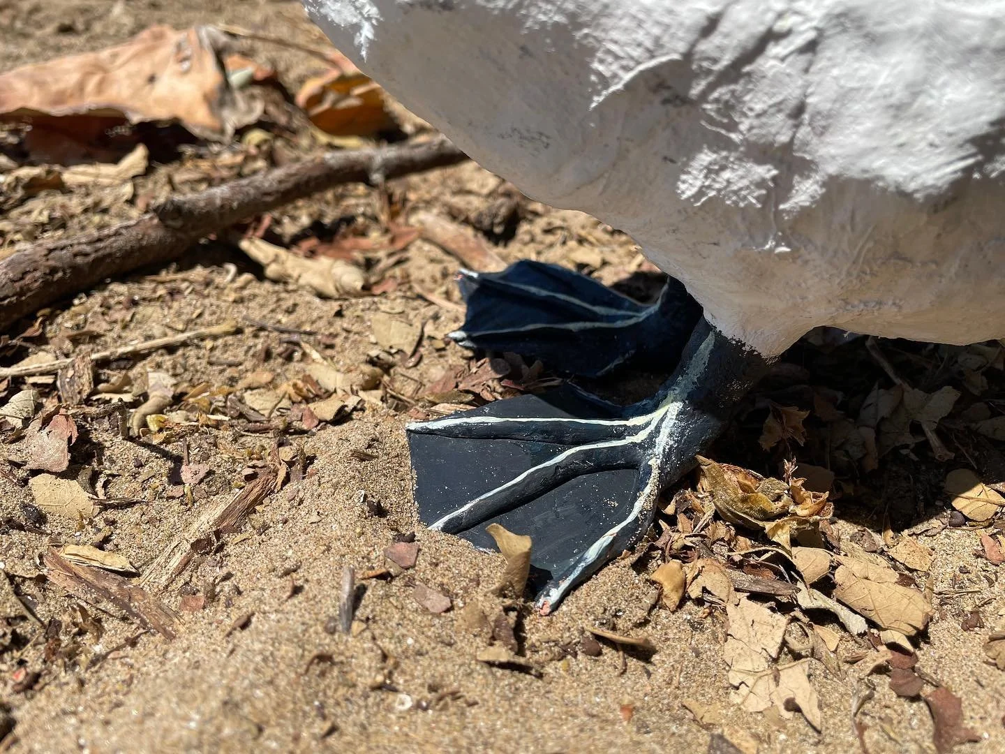 Some details of the gannet&rsquo;s feet.
Made by air-hardened clay, toothpicks, and the base were strengthened with plaster wrap. 

#seameproject #sculpture #animalsculpture #handmade #beach #artprocess
