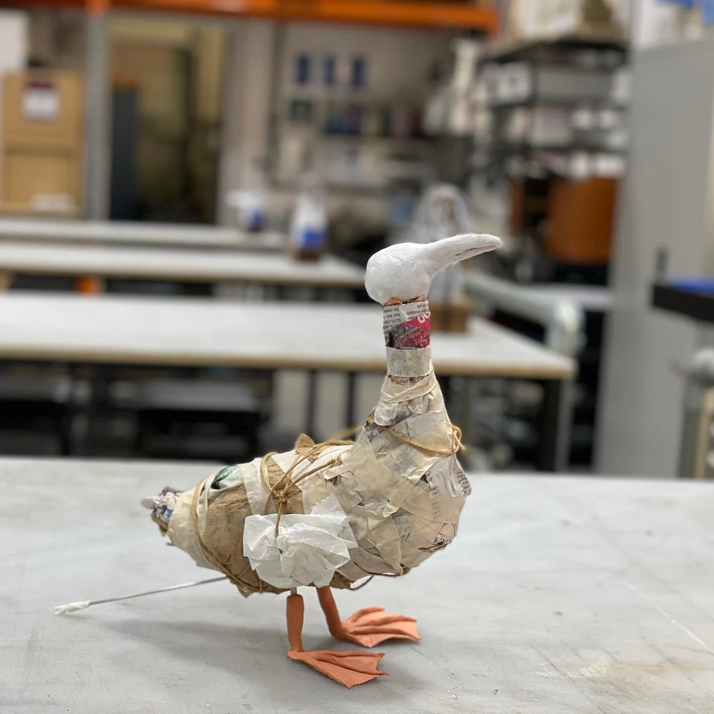 Process of making the gannet bird, swipe left to see how it came together➡️

The process of the wings were not photographed, and they were made from cardboard, aluminium foil, masking tape and plaster bandage. 

It was a somewhat challenging but fun 