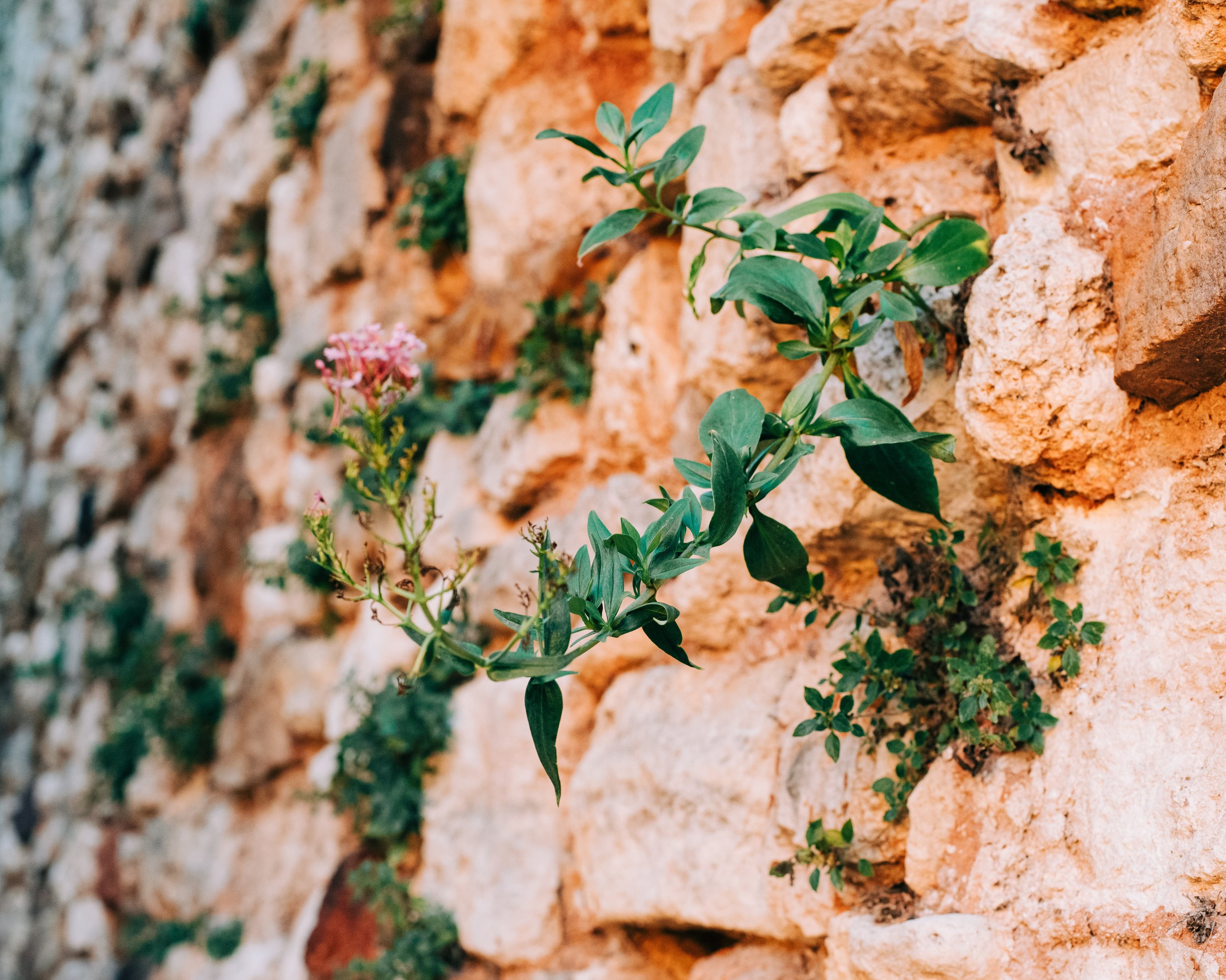 hotespot-provence-luberon-roussillon-10.jpg