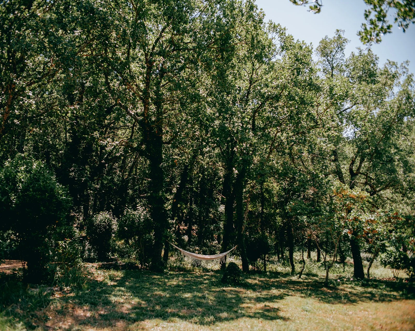hotespot-conciergerie-provence-luberon-maison-de-vacances-canopee-saignon-2606 (188).jpg