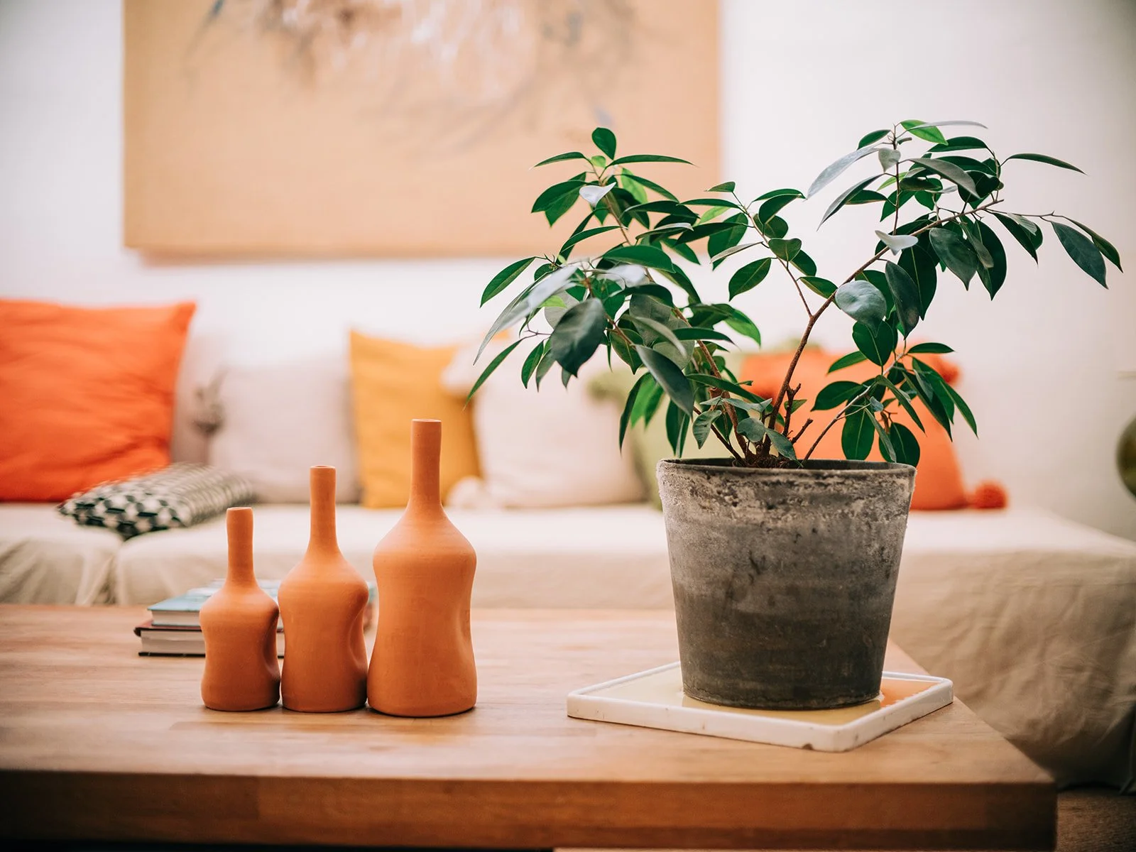 hotespot_maison_de_vacances_luberon_provence_kilim_ (24).jpg