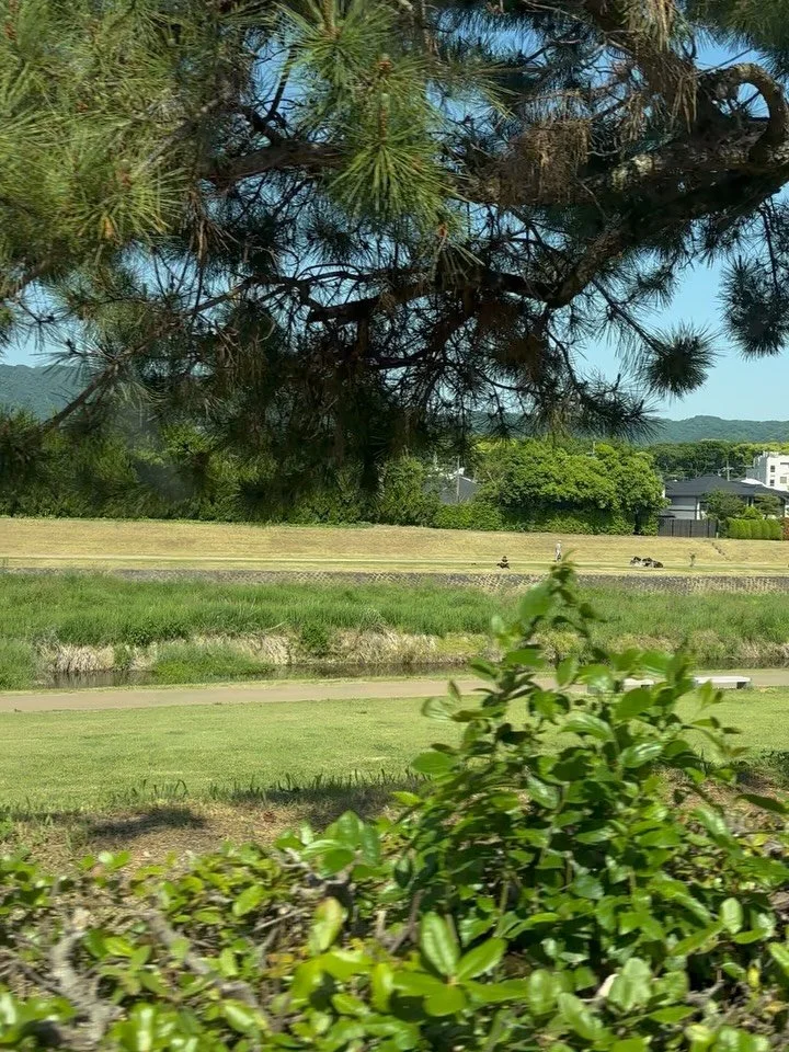 先週末、京都でレッスンをし、
いつかの暮らしを少し想像しながら、お家探しもして来ました。

滞在中は大阪暮らしの息子にも会い、
金沢では母と過ごし、
京都では、母の60年来の
同窓生の方々にもお会いしました。

いろいろな時間を過ごして
東京へ戻り、
自分の家に帰ってきたとき、
これからの暮らしについて
少し気持ちが整理された気が
しています。

健康に気をつけながら、
無理なく続けられる毎日を
大切にすること。

母や祖母から受け取ったものを、
自分の暮らしの中で
またつないでいくこと。

今