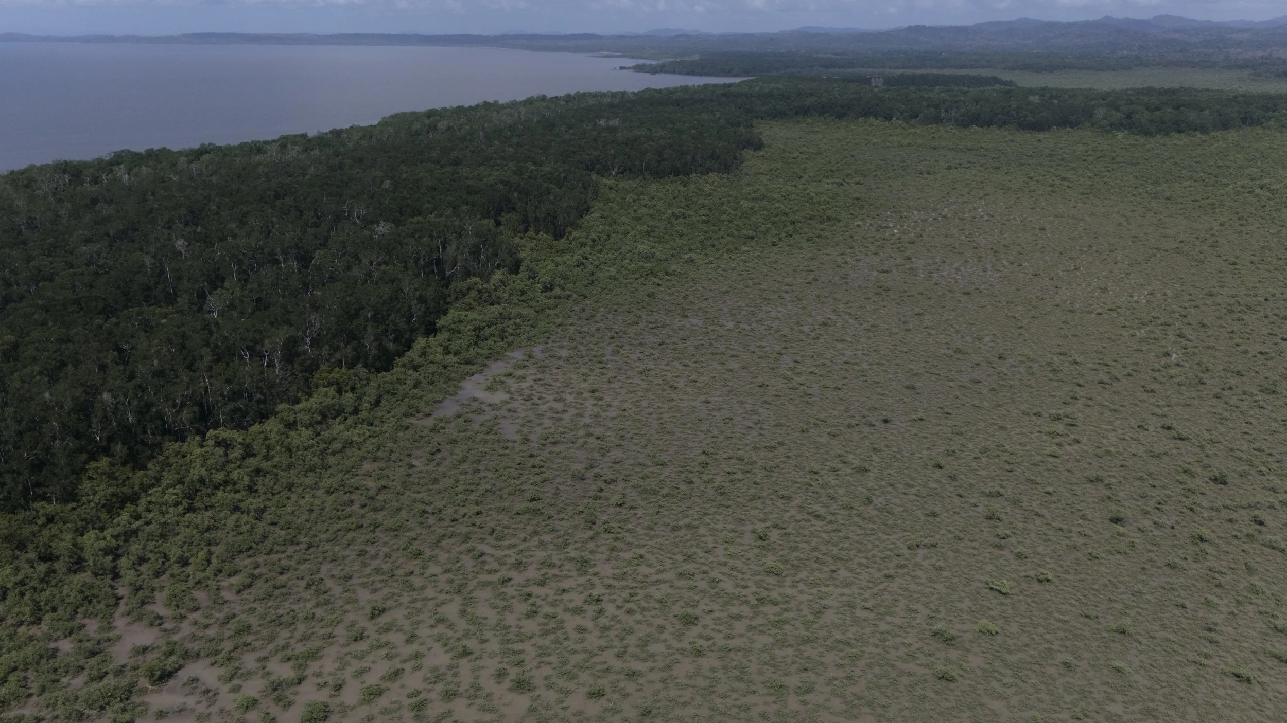 Aerial view of a degraded mangrove area in Darién, Panama requiring rehabilitation