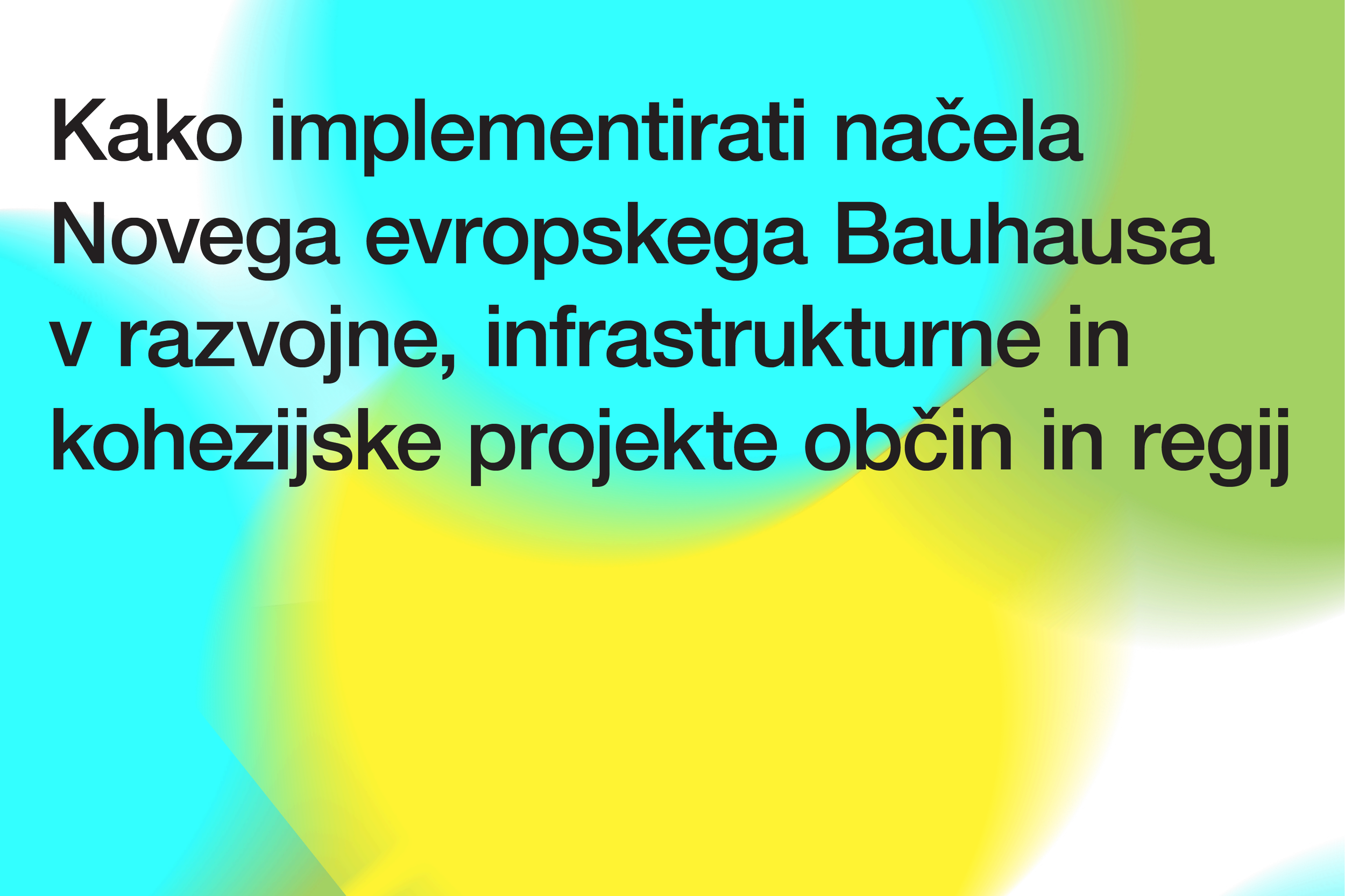 Strokovna delavnica NEB