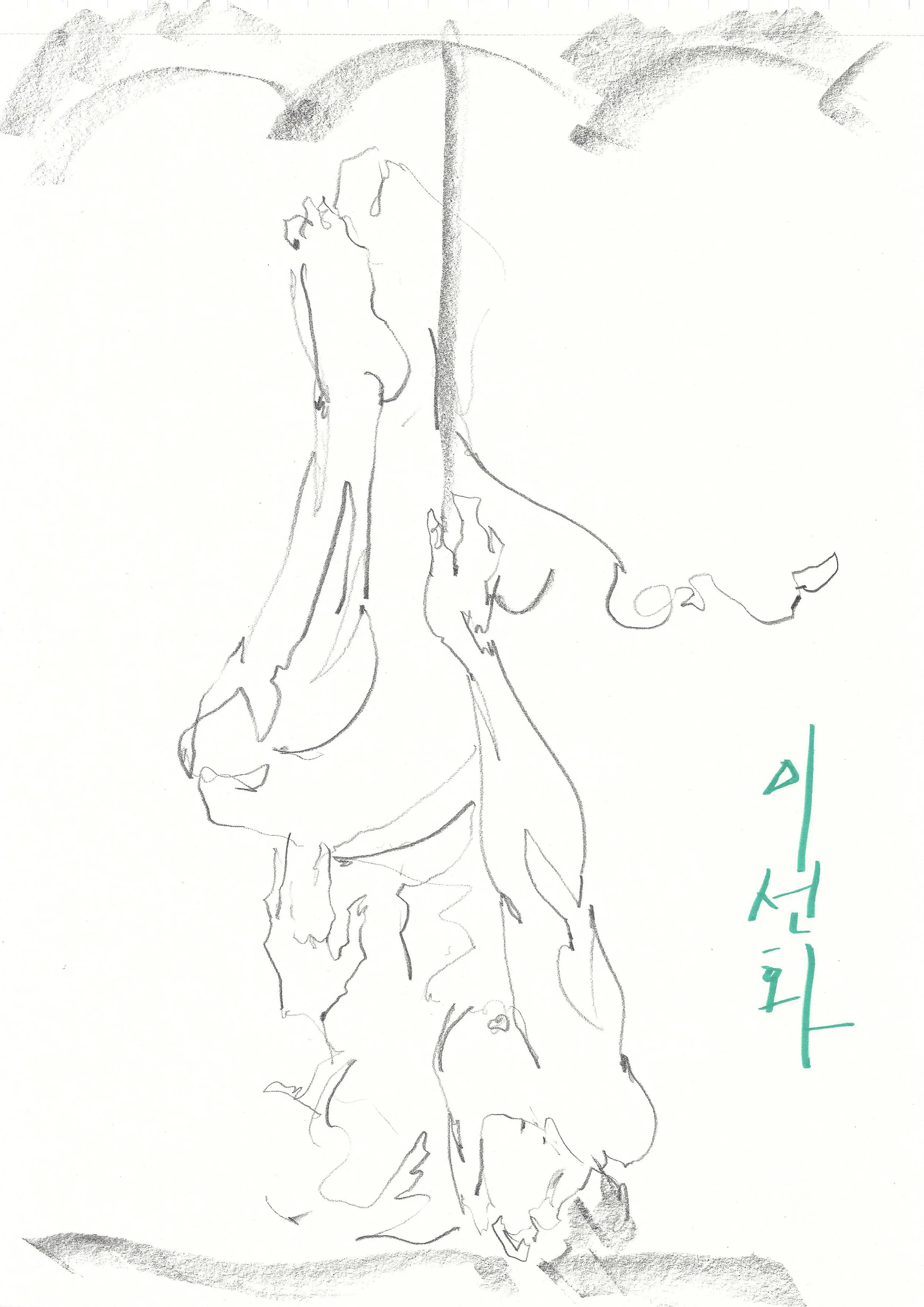 260917 3.jpg