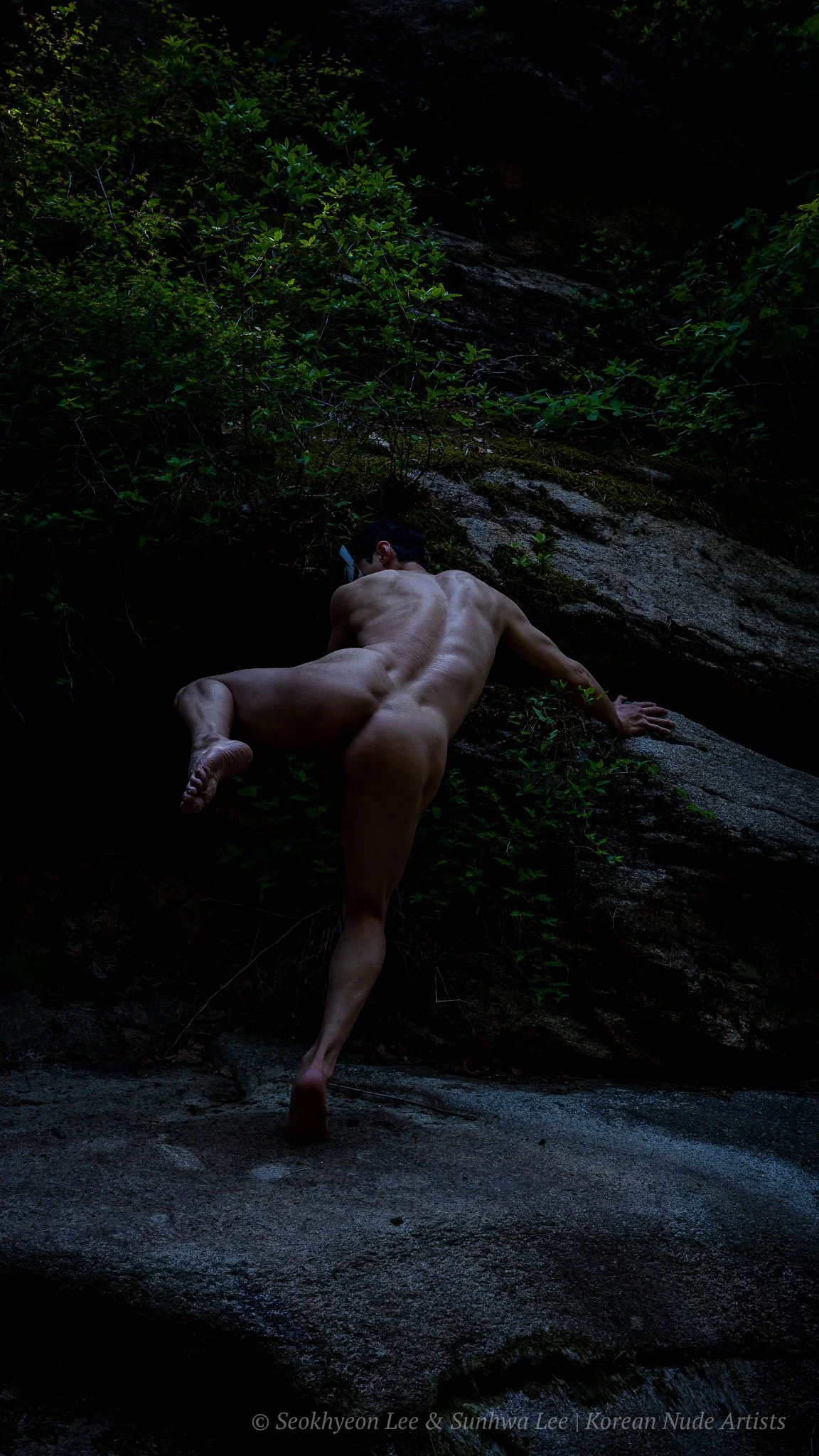Foxfire in the Mountain