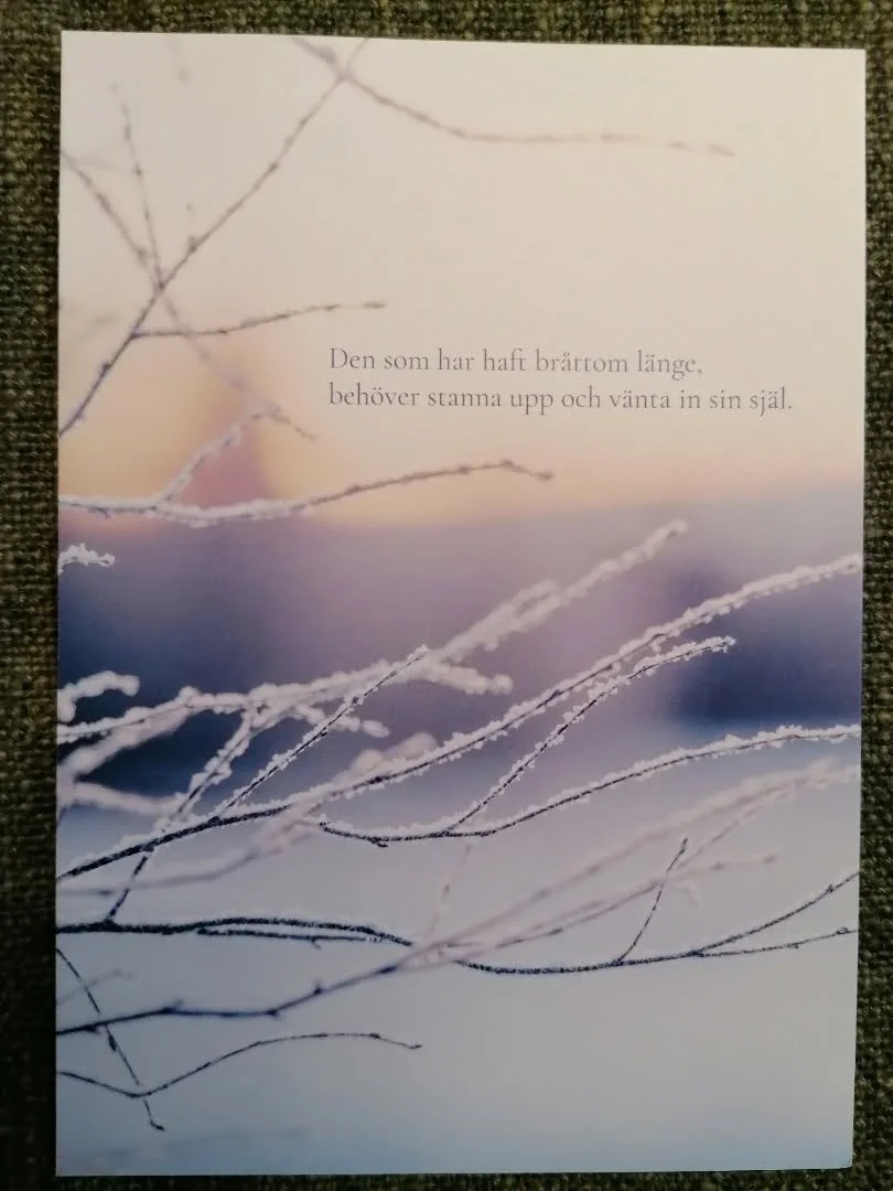 Ses vi p&aring; Julskyltningen? Jag kommer att finnas p&aring; H&auml;lsokraft i Boden 🤶🌲✨