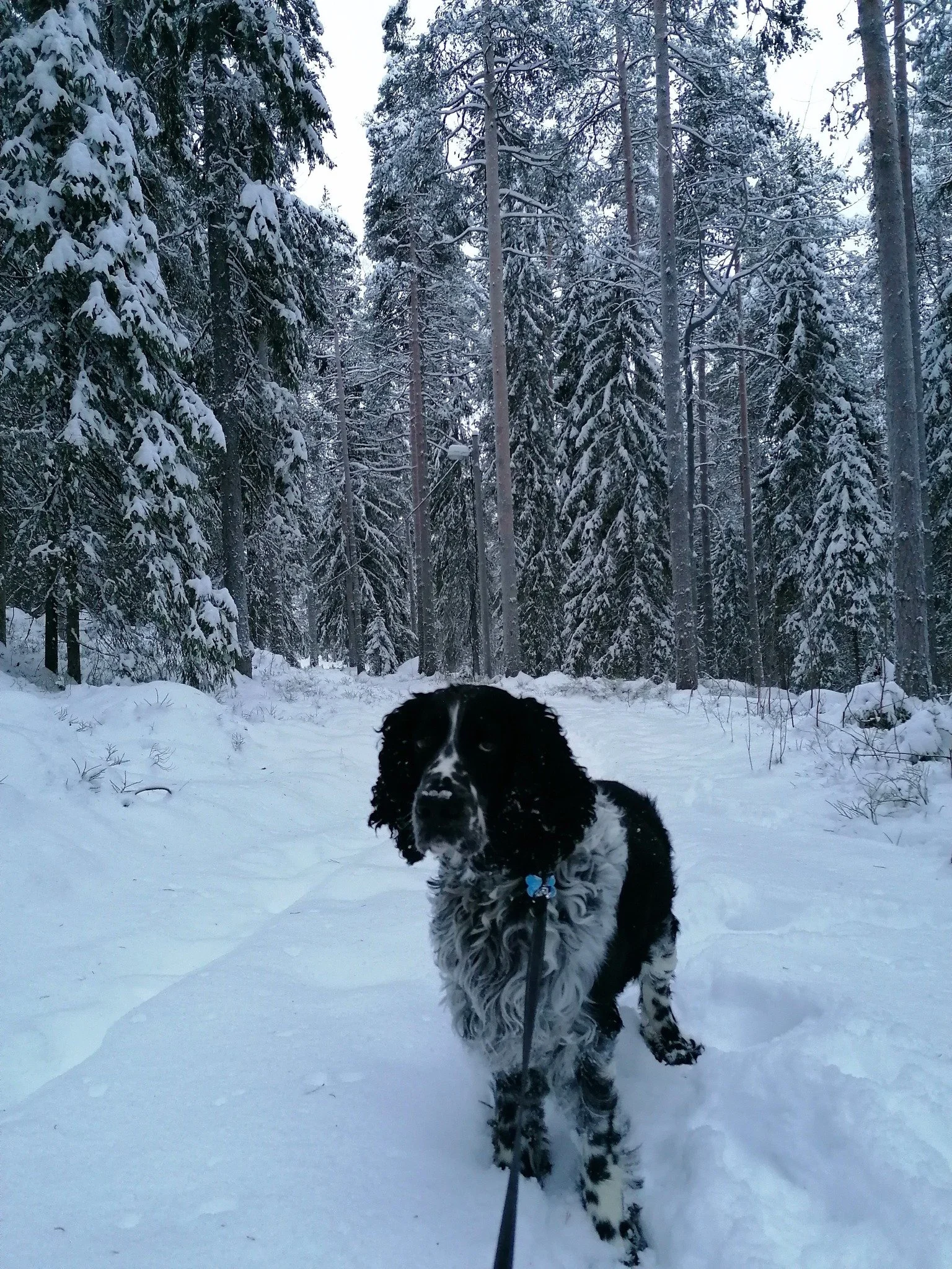 Sju dagar. Sju svartvita h&auml;ndelser fr&aring;n ditt liv. Inga m&auml;nniskor. Ingen f&ouml;rklaring. Dag 2 av 7. Idag utmanar jag BalansBoden 🤗 Helt valfritt deltagande 😉 Tagga en v&auml;n att forts&auml;tta sprida bilder i Sju dagar...