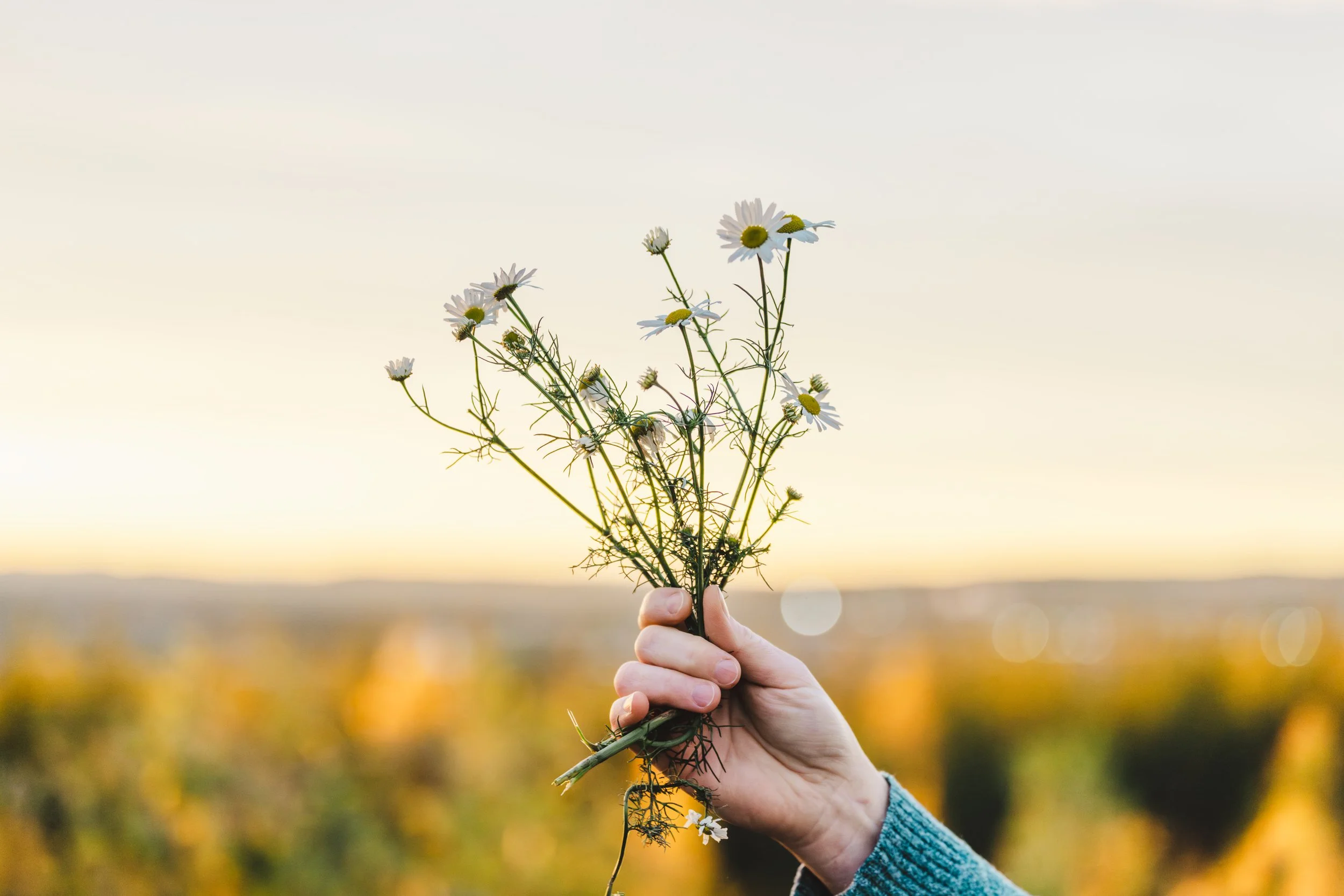 Frekvensbehandling (120min)