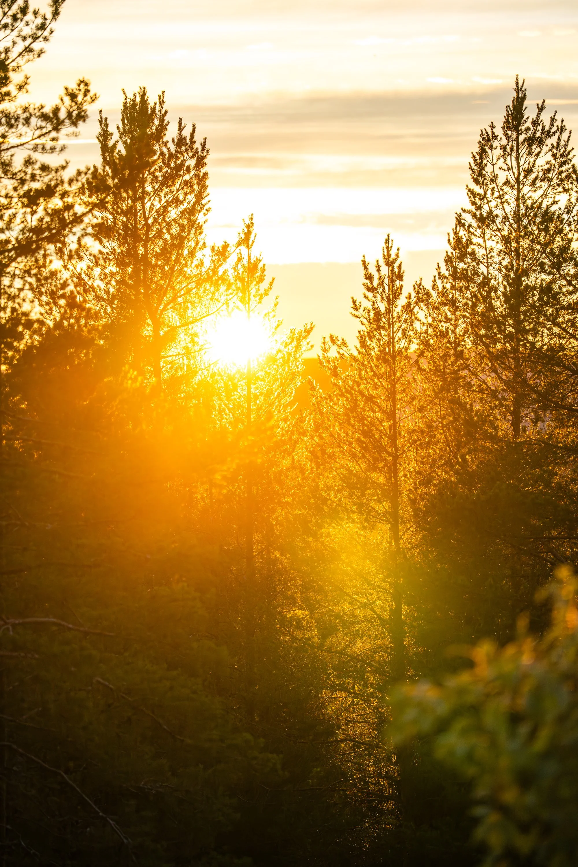 Svensk klassisk massage (30 min)
