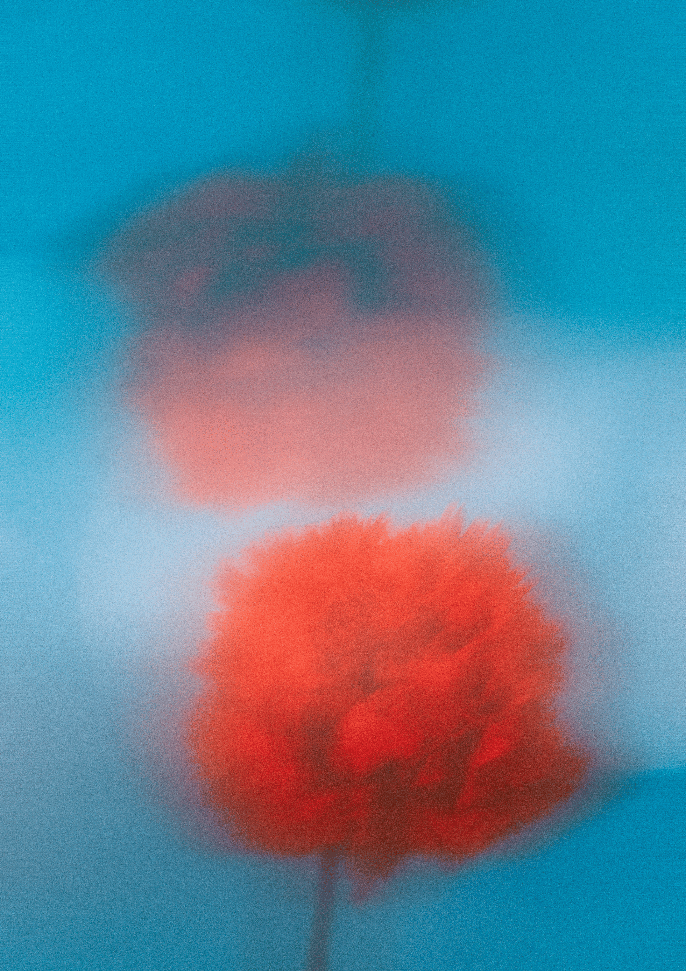 Blurred close-up of a red flower with a green stem against a blue sky background.