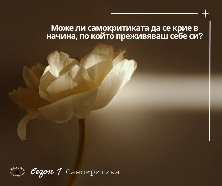 В този пост ще използвам концепцията за &bdquo;защитните механизми&ldquo;, но не в класическия ѝ смисъл като процеси, които целят да намалят напрежението и да регулират реакциите ни към вътрешни конфликти и външни стресови фактори (както твърди психо