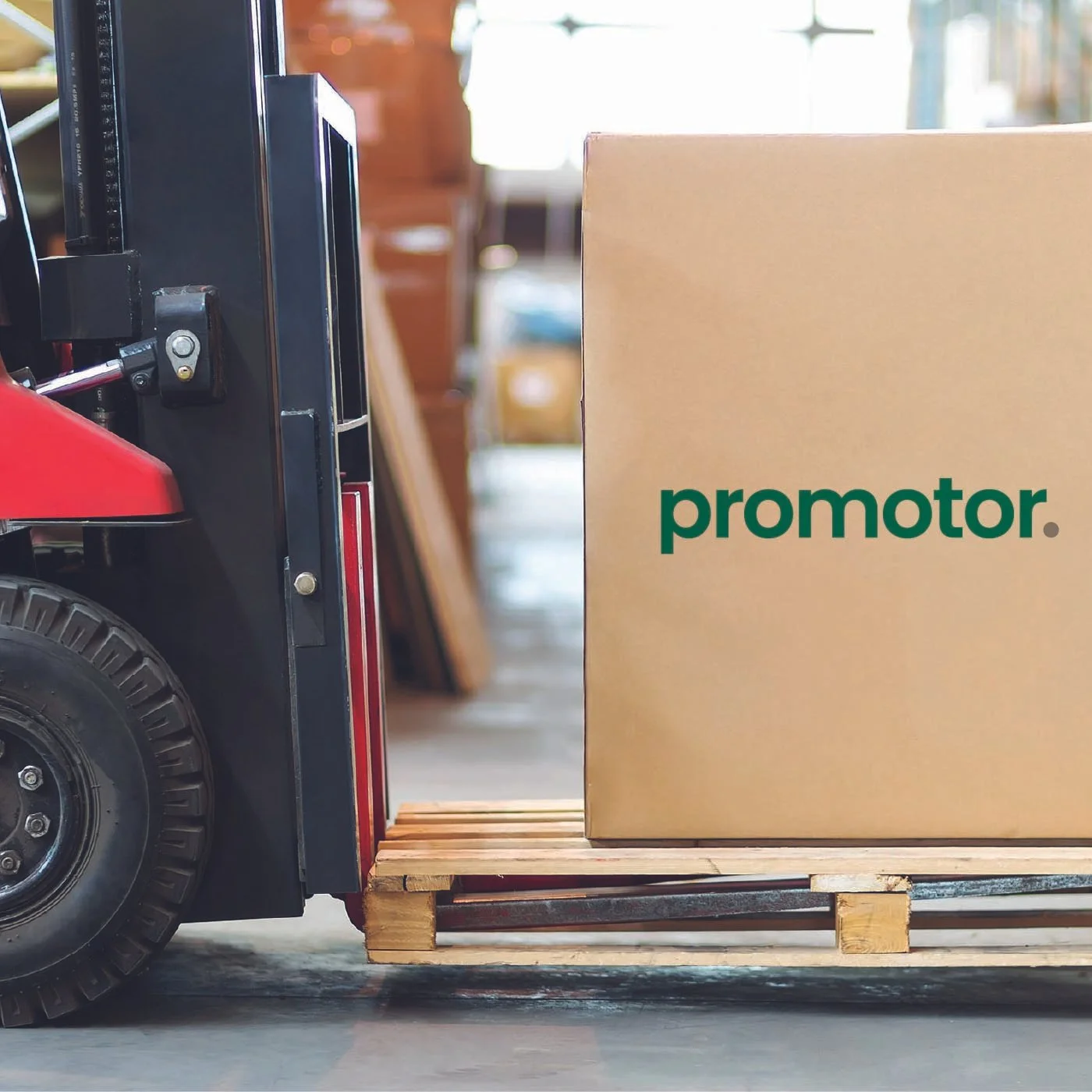 Promotor 1.jpg