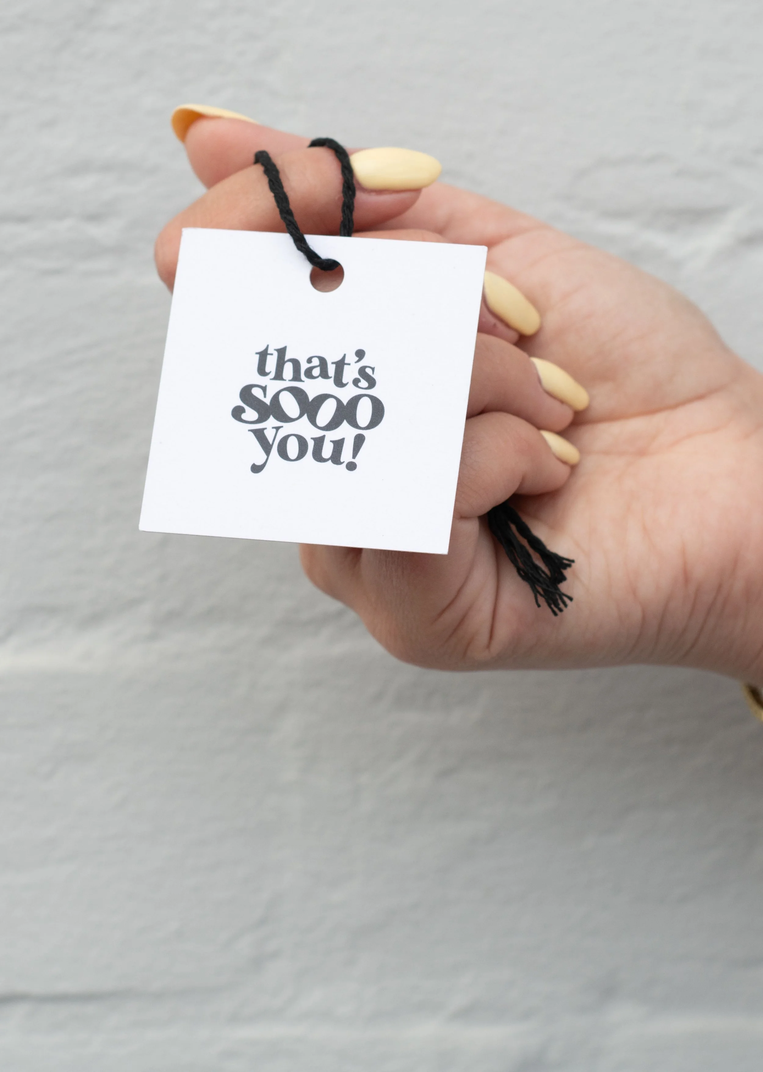 Complete brand launch package and guidelines