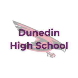 DHS-300x300.png