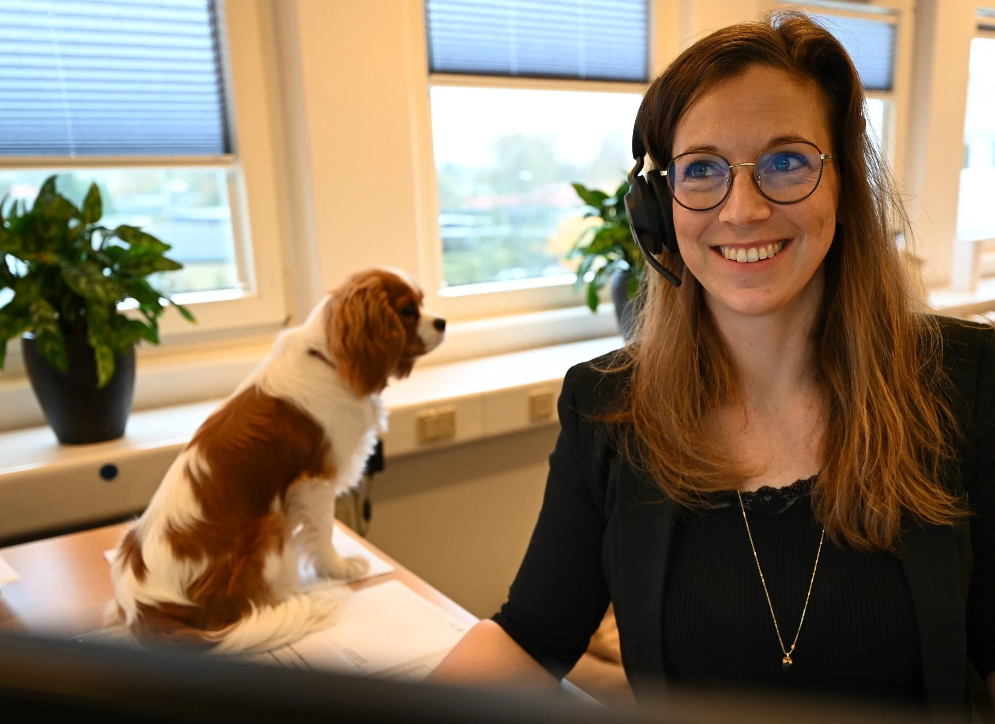 Anne fra BOLIQ arbejder ved skrivebordet mens hunden Wilma sidder på skrivebordet
