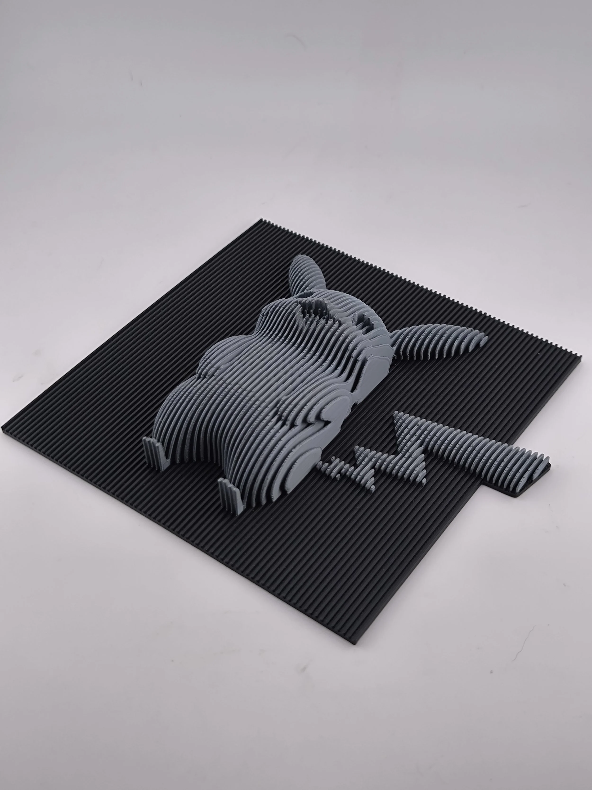 IMG_20260119_101554 (1).jpg