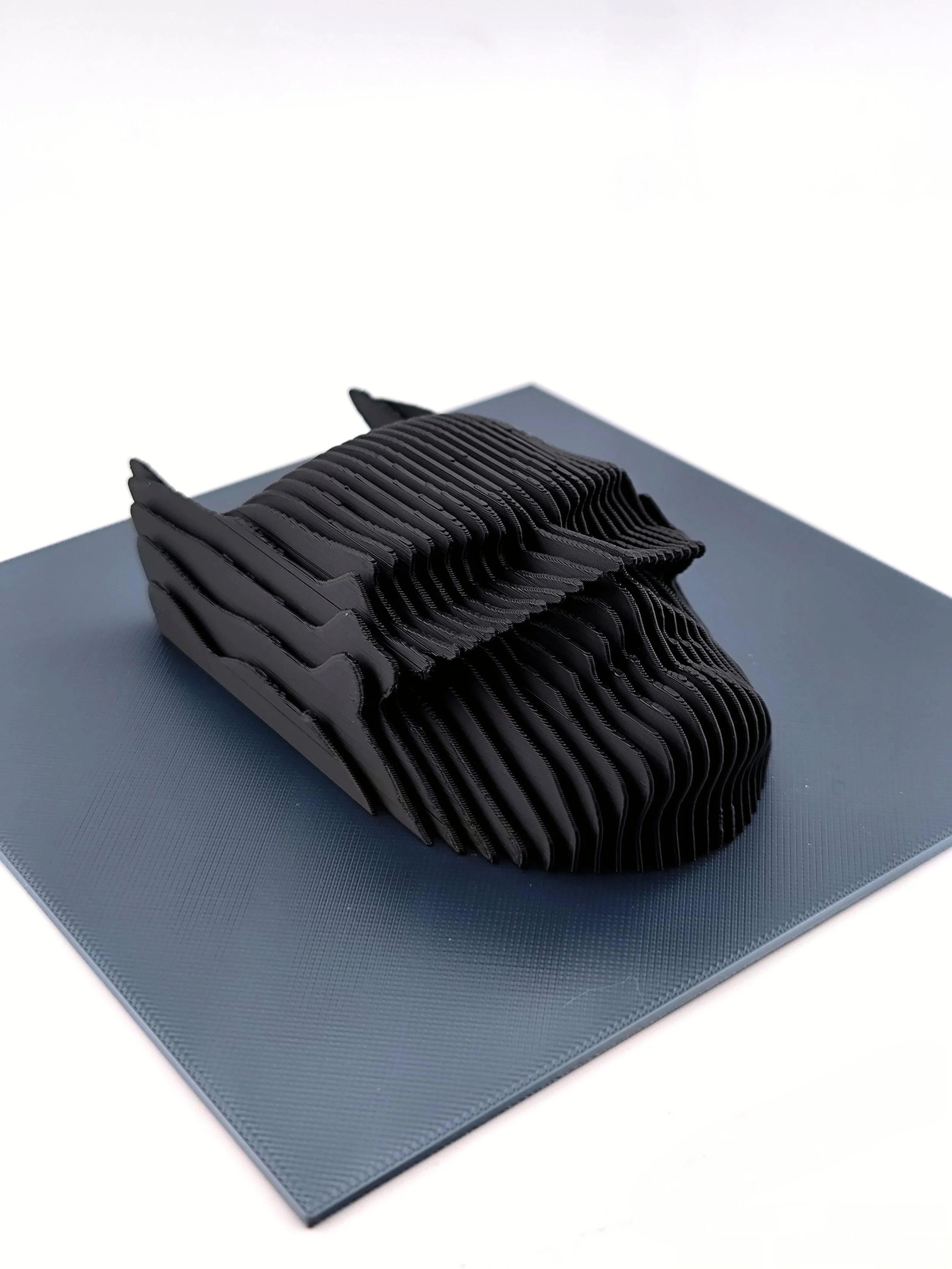 IMG_20260122_151653 (1).jpg