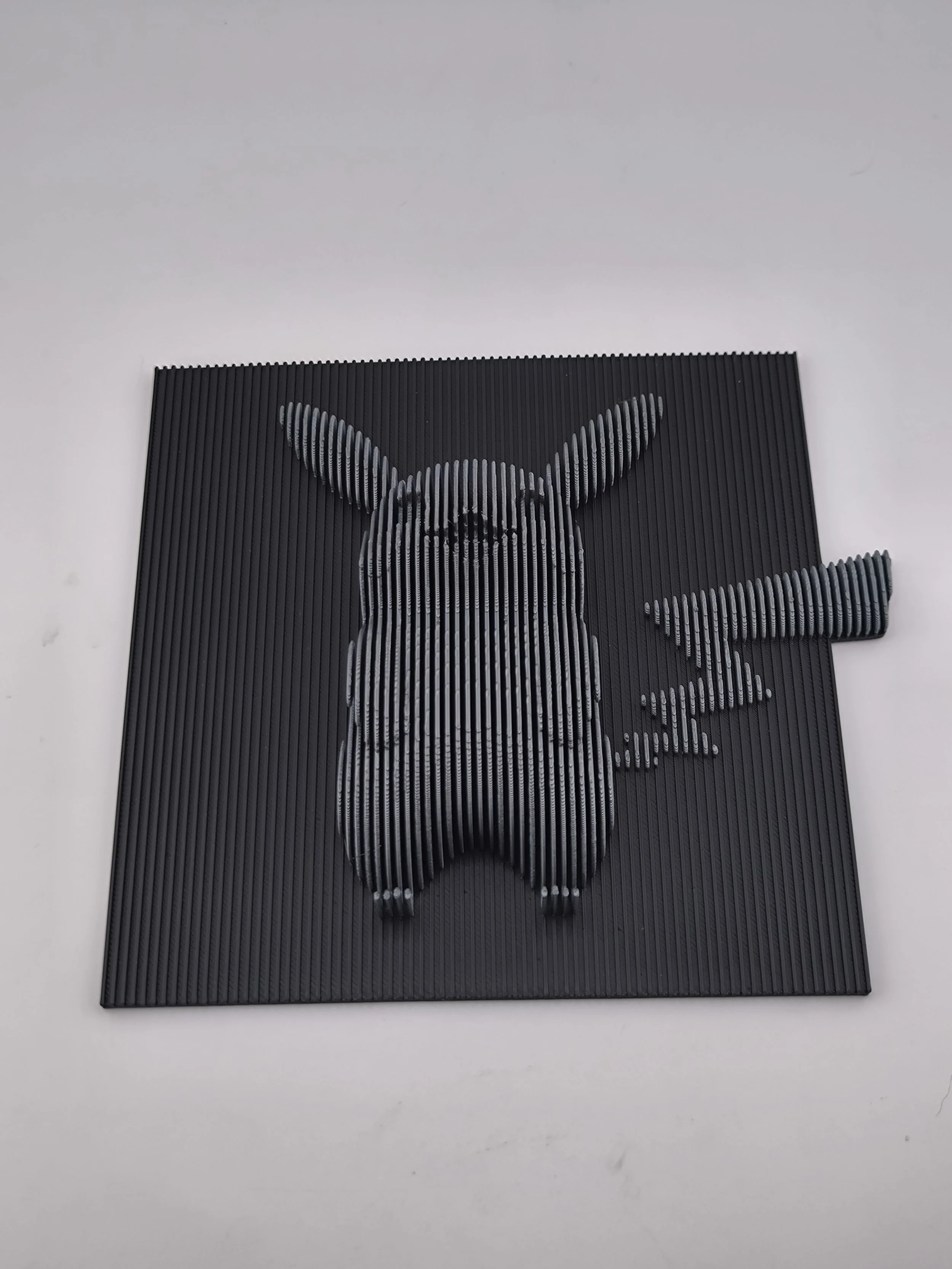 IMG_20260119_101543 (1).jpg