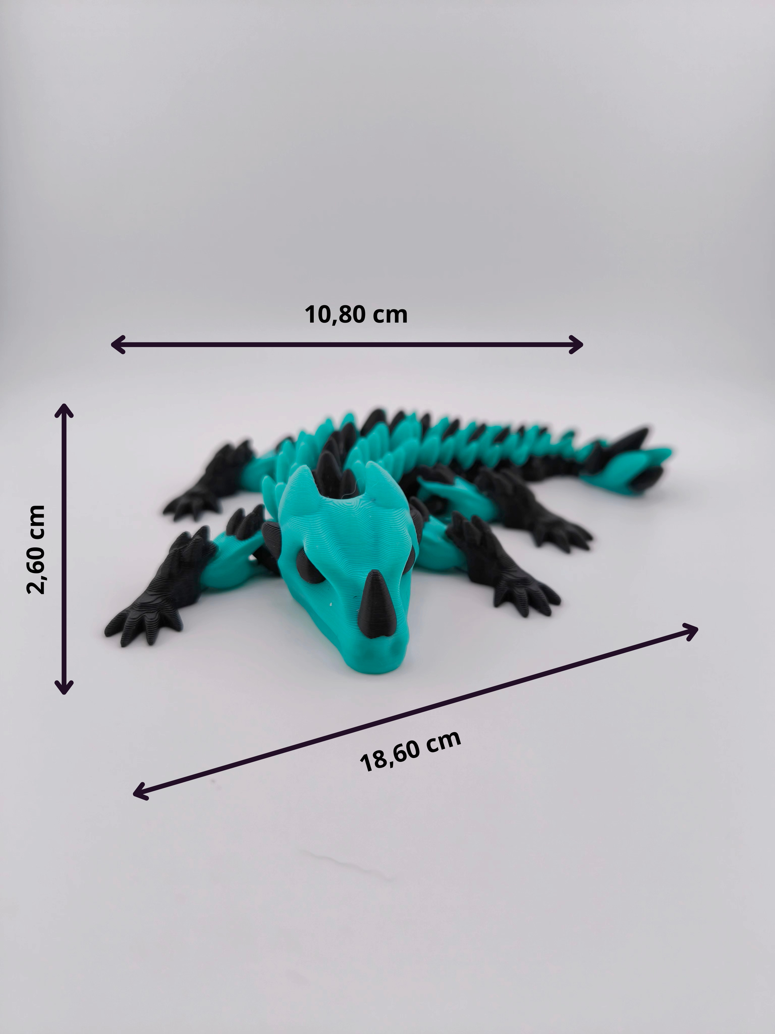 18,60 cm.png