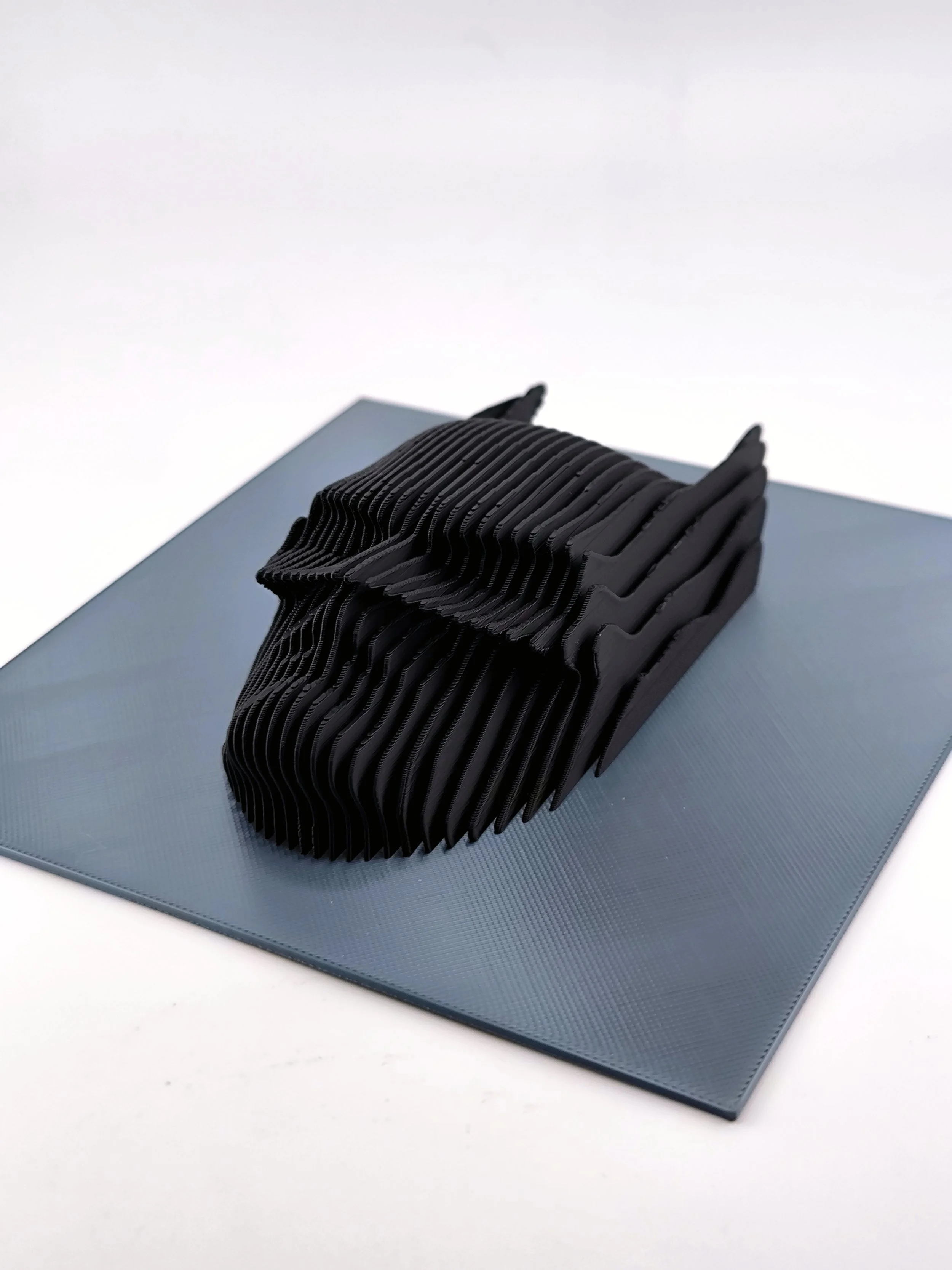 IMG_20260122_151620 (1).jpg