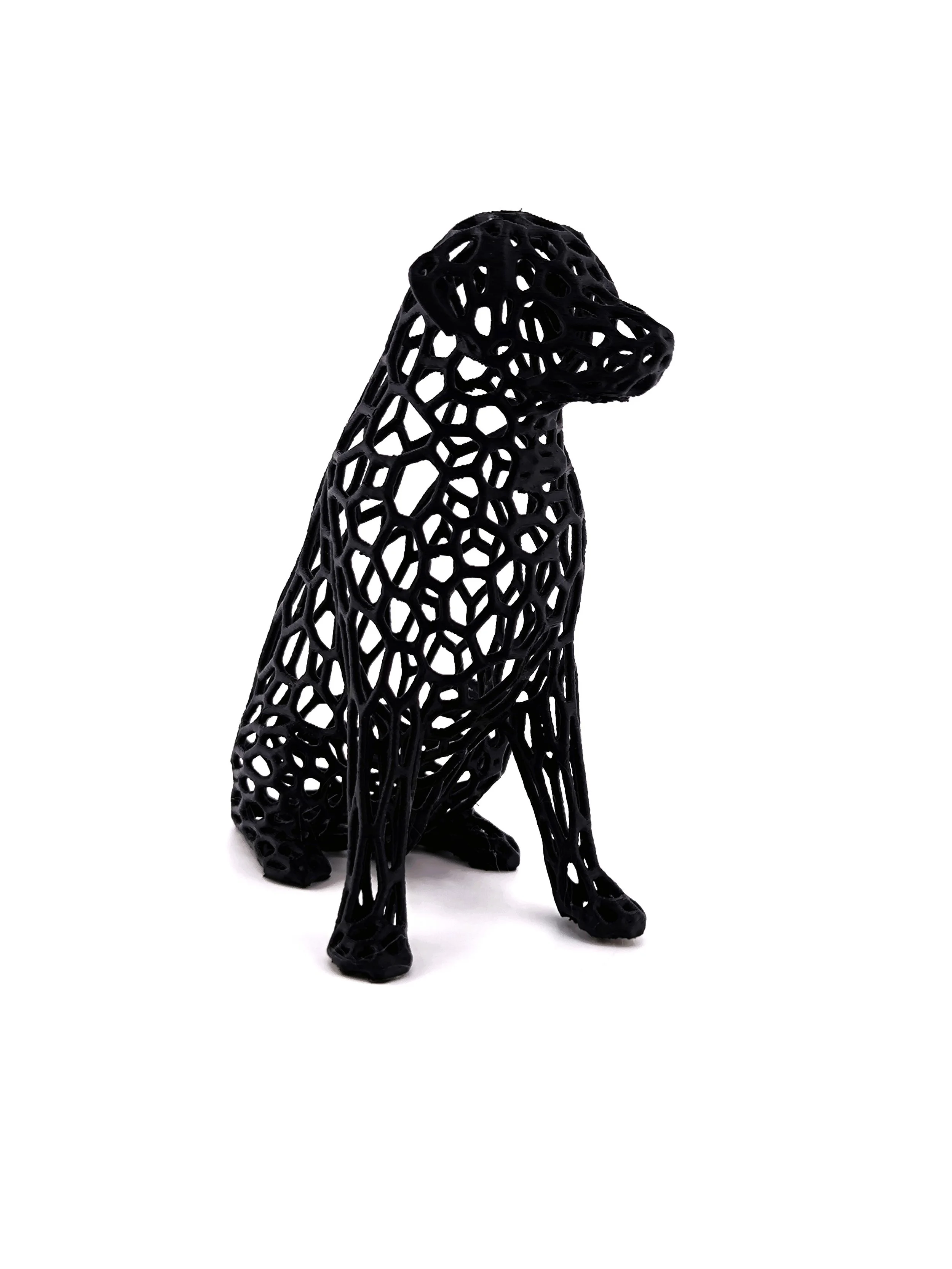 Figura - Perro Voronoi