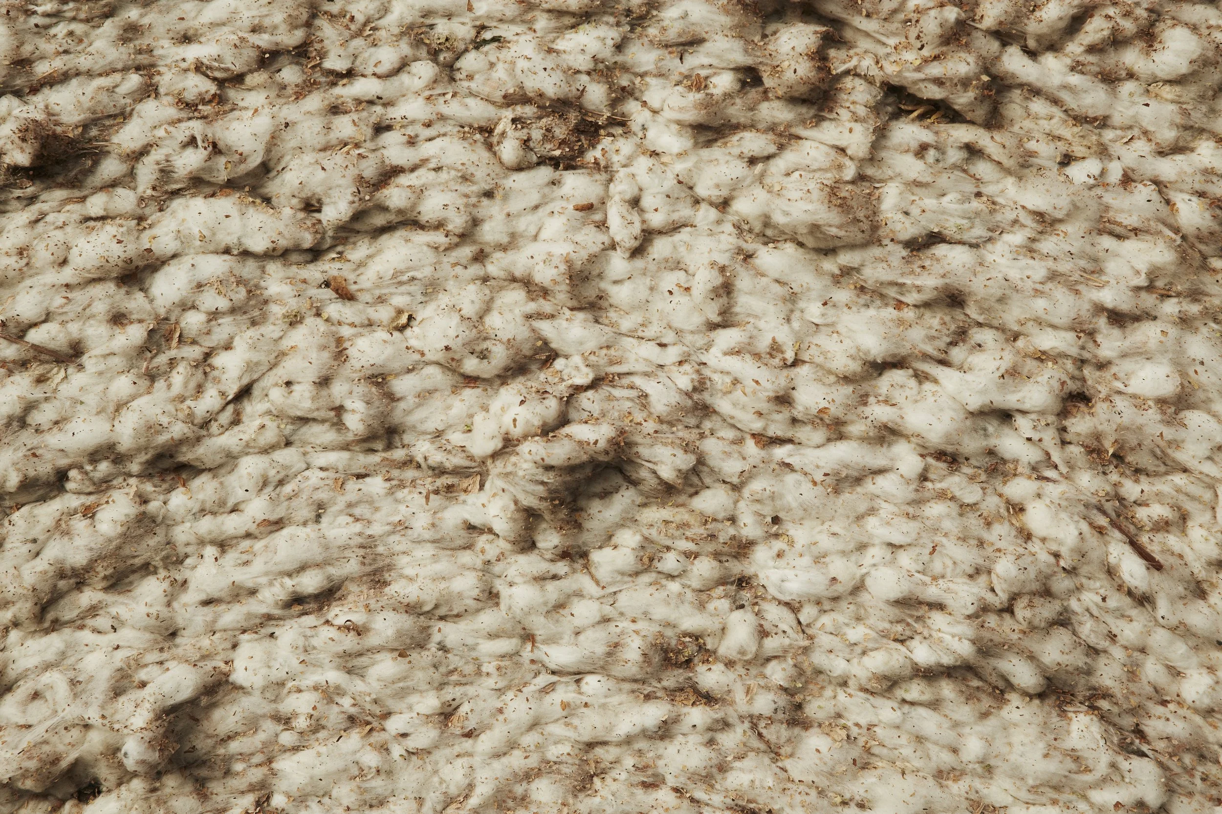 Close-up of a mound of snow with dirt and debris mixed in.