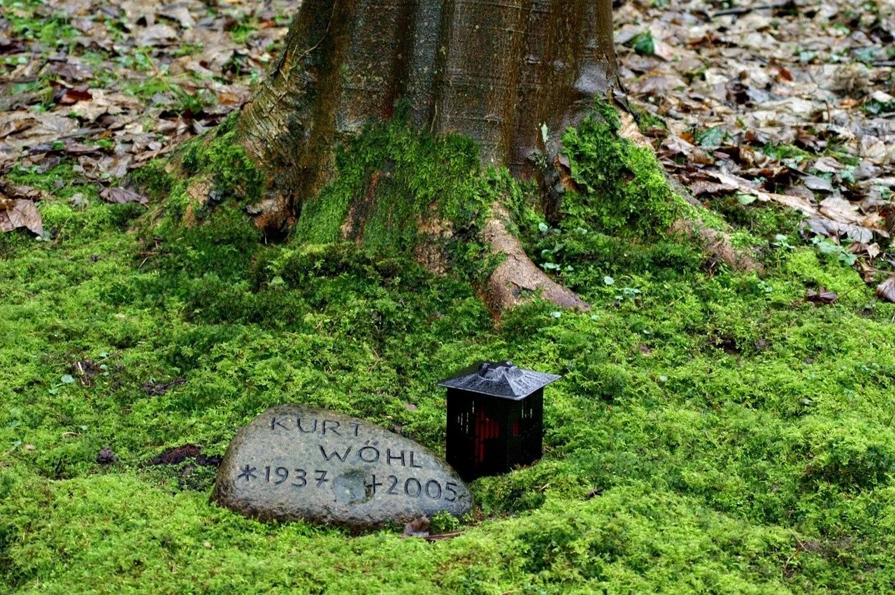 Gedenkstein und kleine Laterne vor einem Baum im Park, mit Moos und herabfallenden Blättern