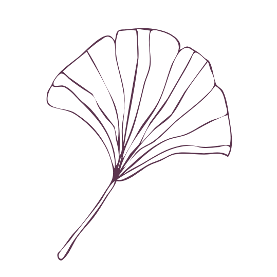 Linienzeichnung einer Ginkgo-Blatt Silhouette auf schwarzem Hintergrund.