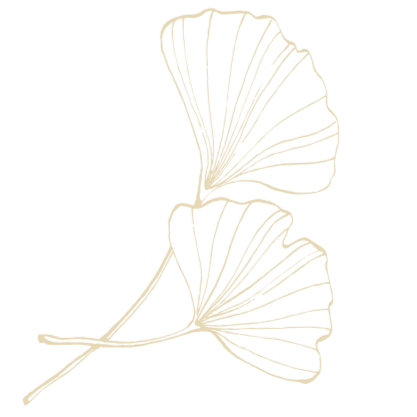 Zwei Ginkgo-Blätter in weiß auf schwarzem Hintergrund.